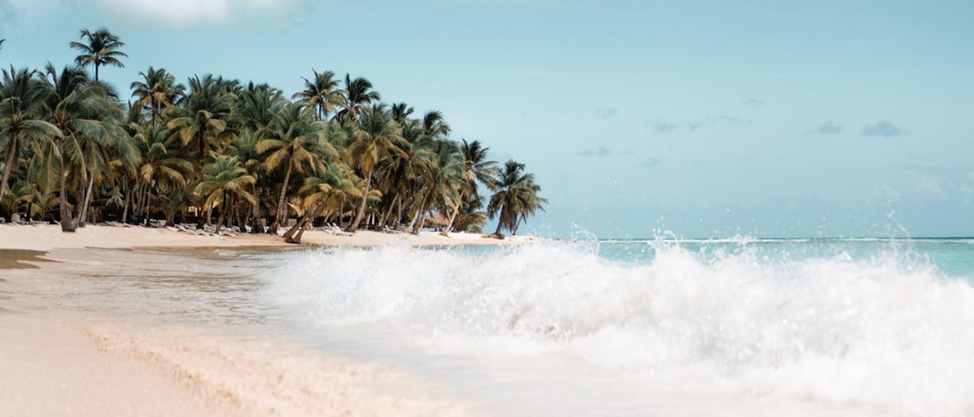 Dominican Republic 🐚 in $350s-$440s RT