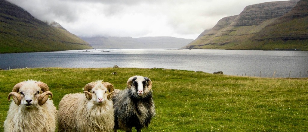 The Faroe Islands  in £150s-£210s rtn