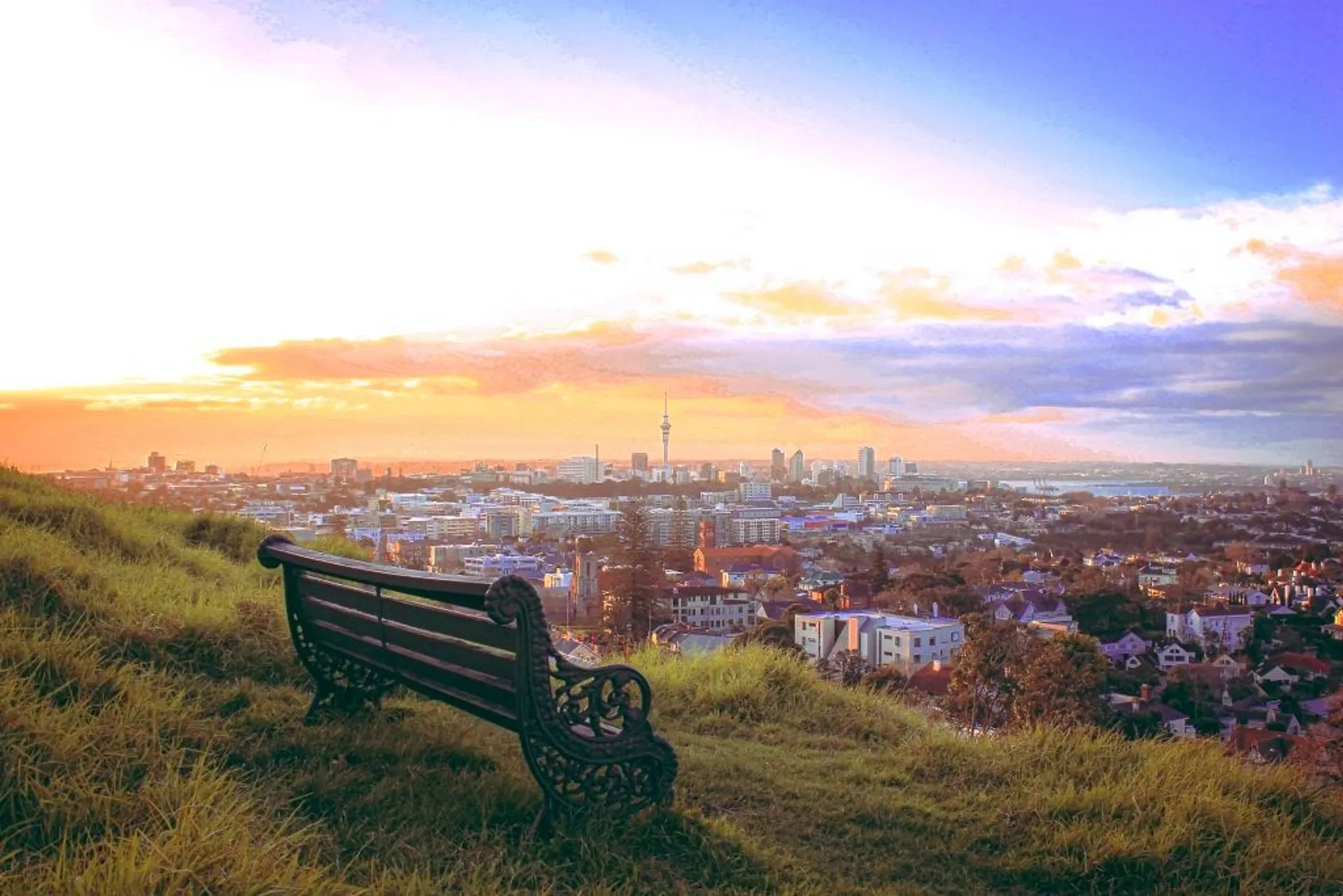 Bench in a park overlooking Auckland