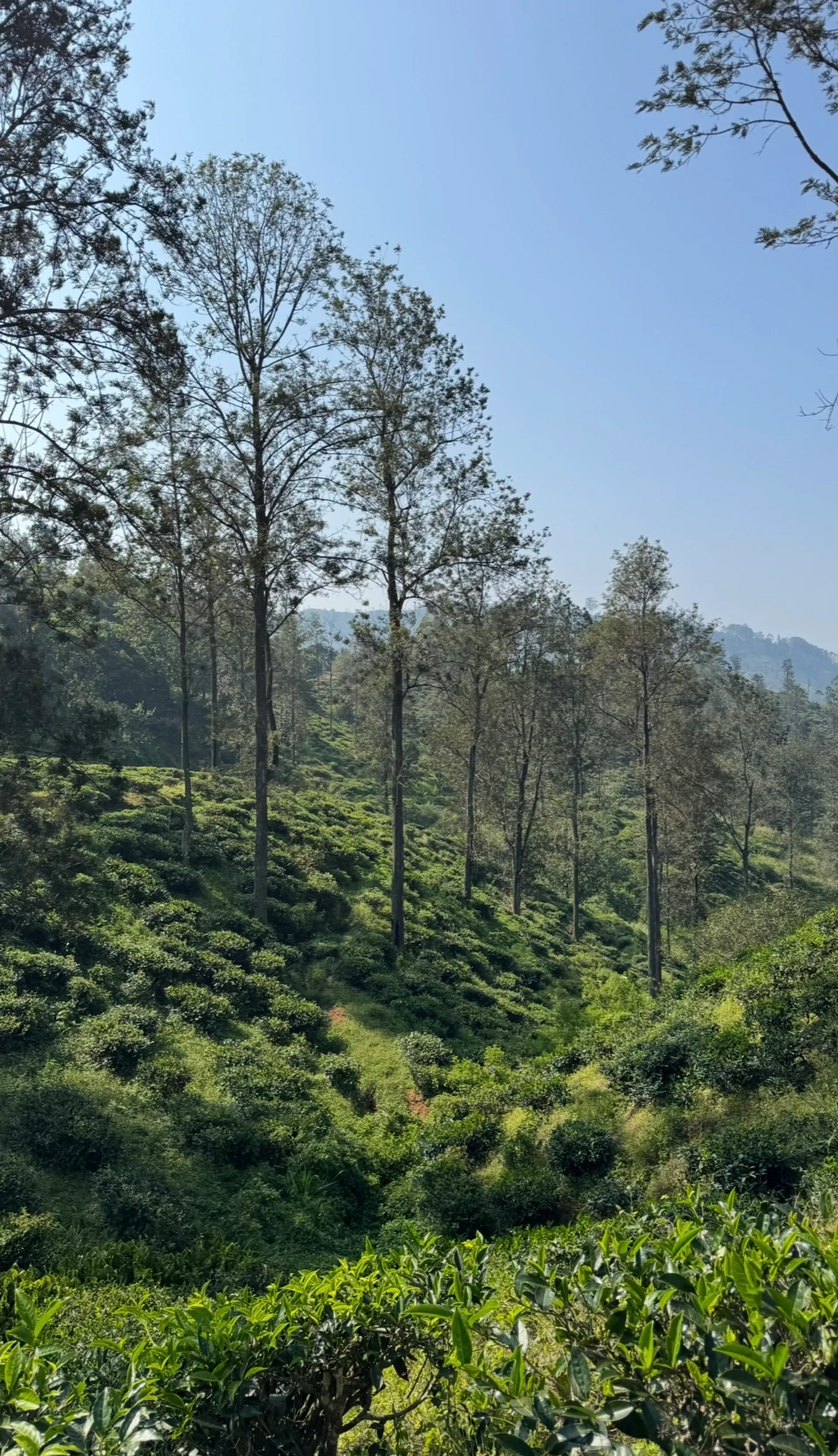 Postcard from BraveDrifter15075