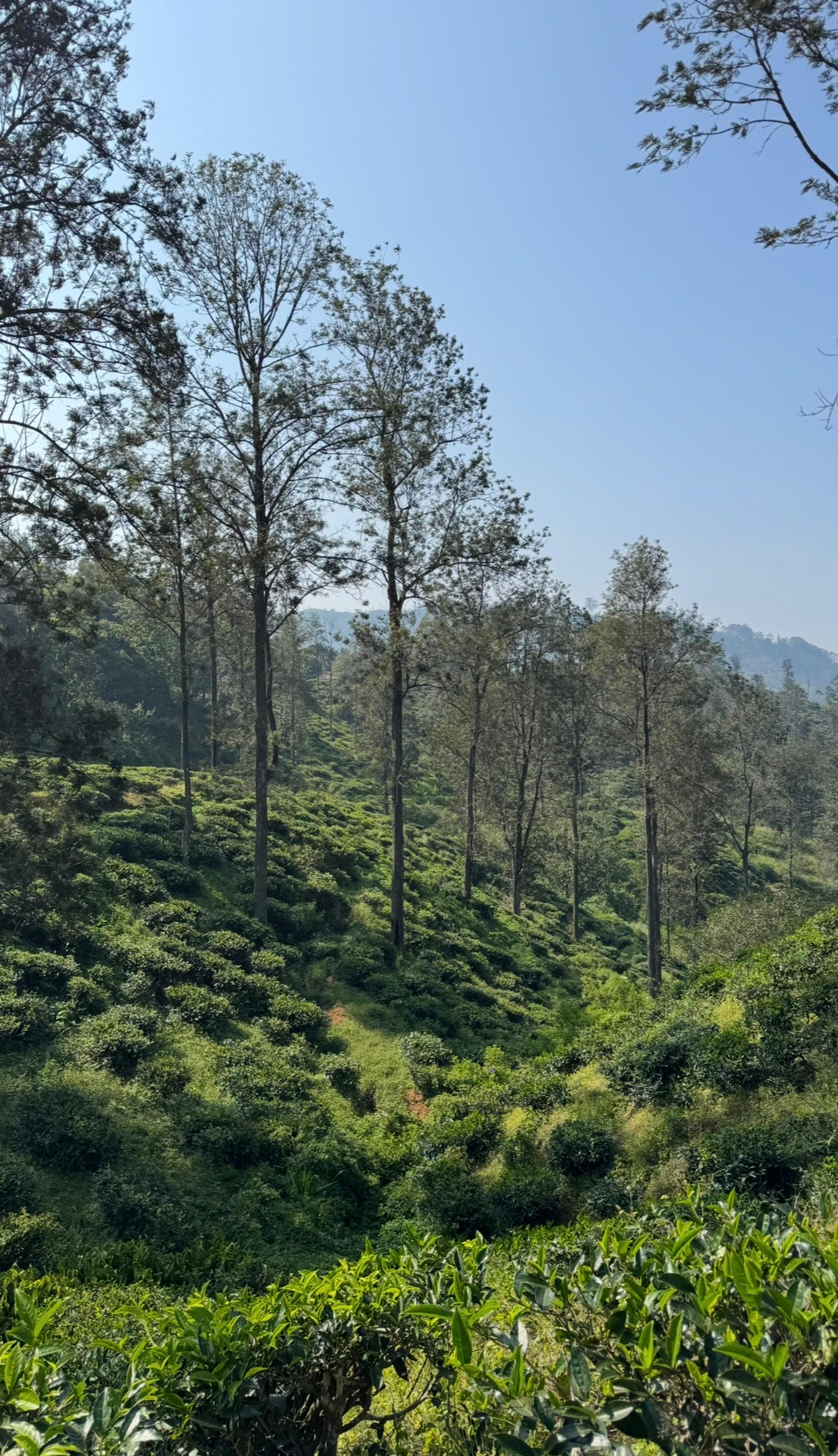 Postcard from BraveDrifter15075