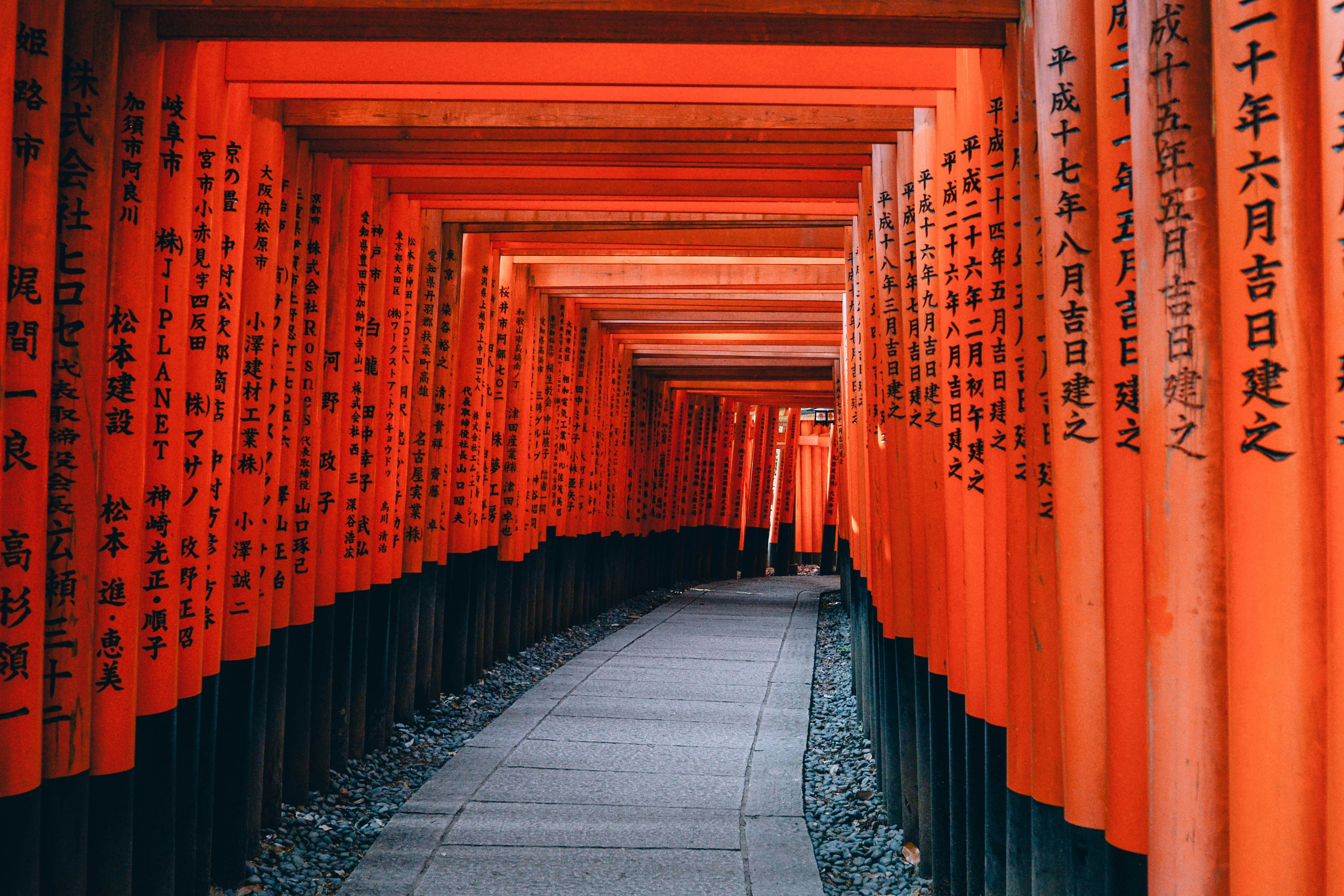 The vibrant red torii gates line a pathway at Fushimi Inari Shrine in Kyoto, Japan.
