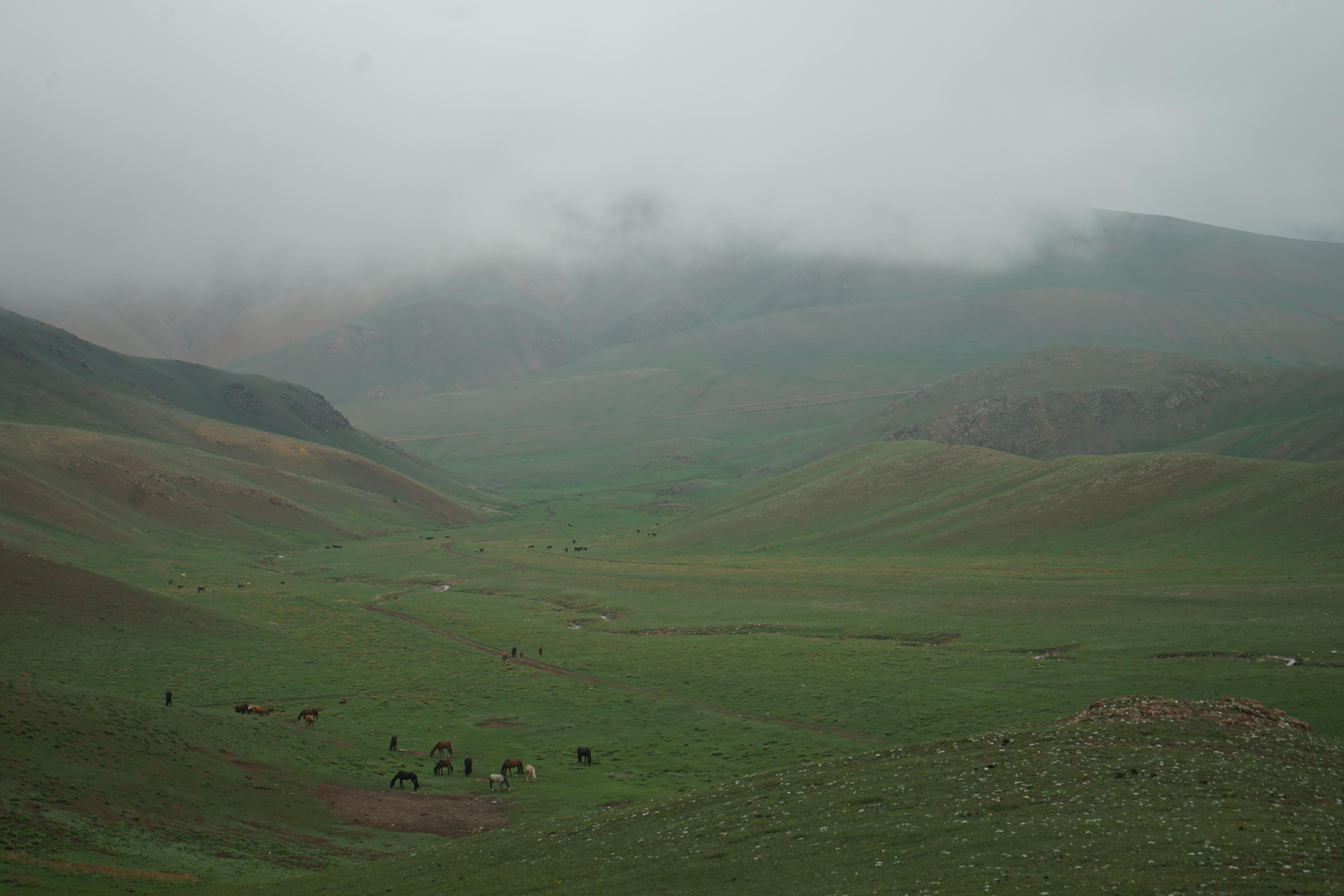 A peaceful, mist-covered landscape stretches across lush green pastures and rolling hills in the remote regions of Kyrgyzstan.