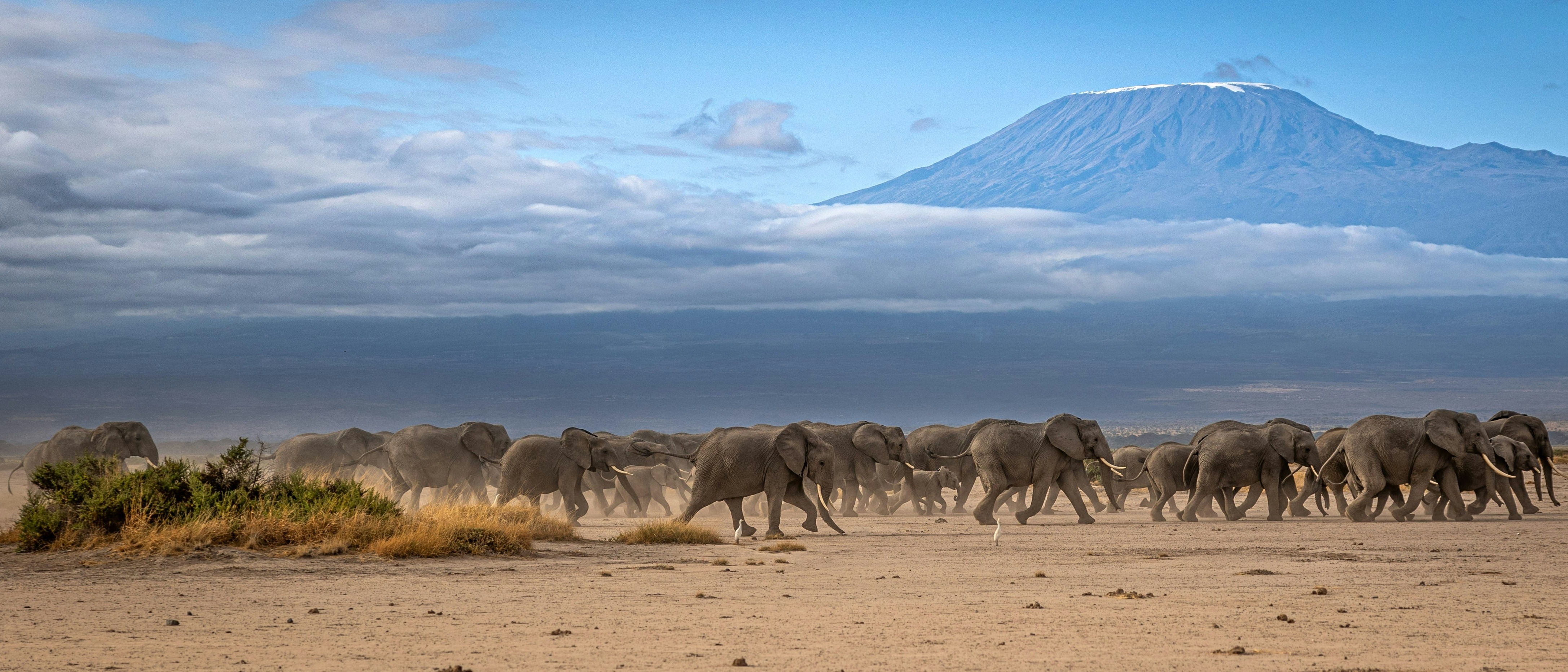 Mount Kilimanjaro  in $1650s-$1830s RT