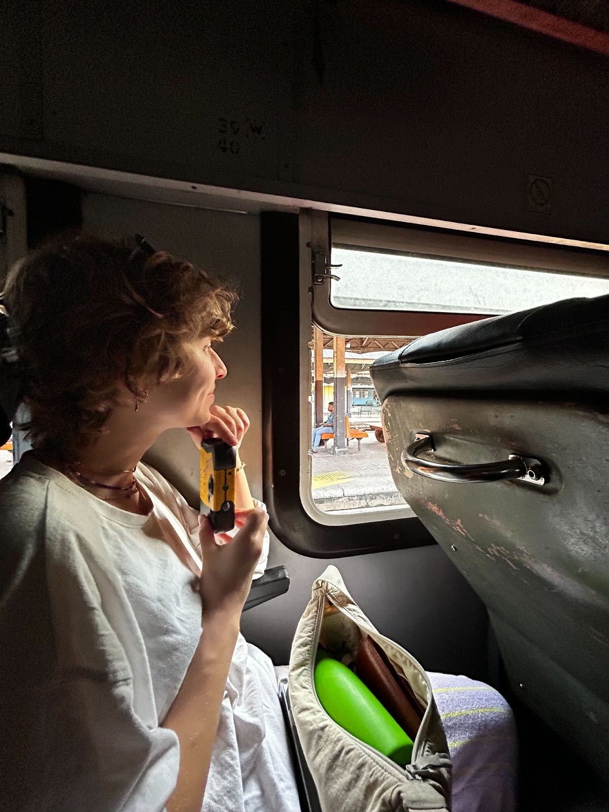 Fran looks out the window of a train