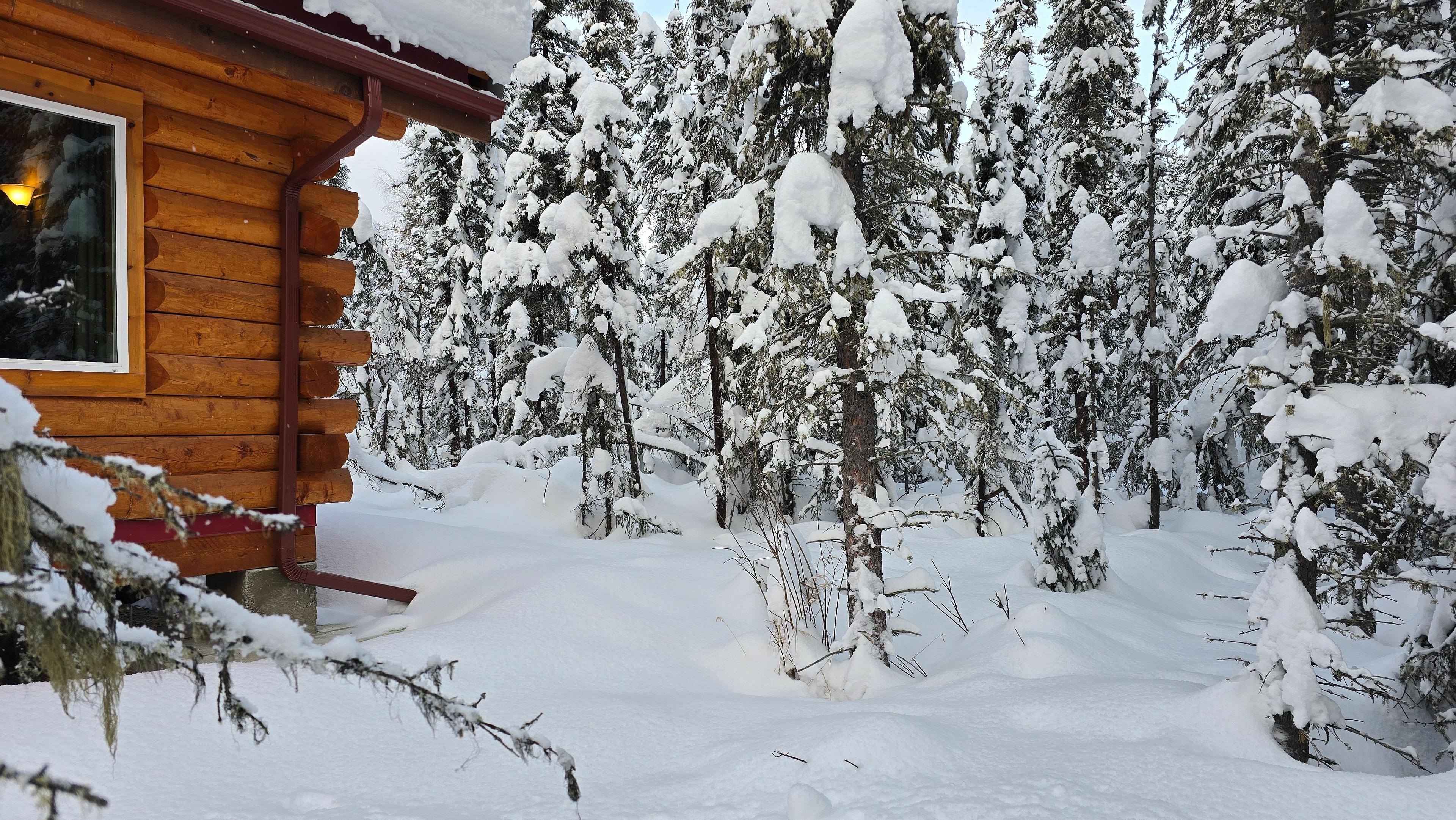 A snowy forest surrounds a cozy log cabin in Alaska.