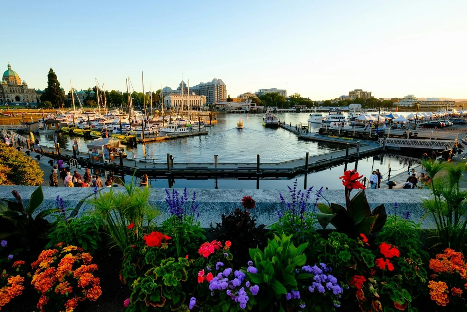 A scenic view of Victoria Harbour in British Columbia, adorned with vibrant flowers in the foreground and surrounded by boats and historical buildings.