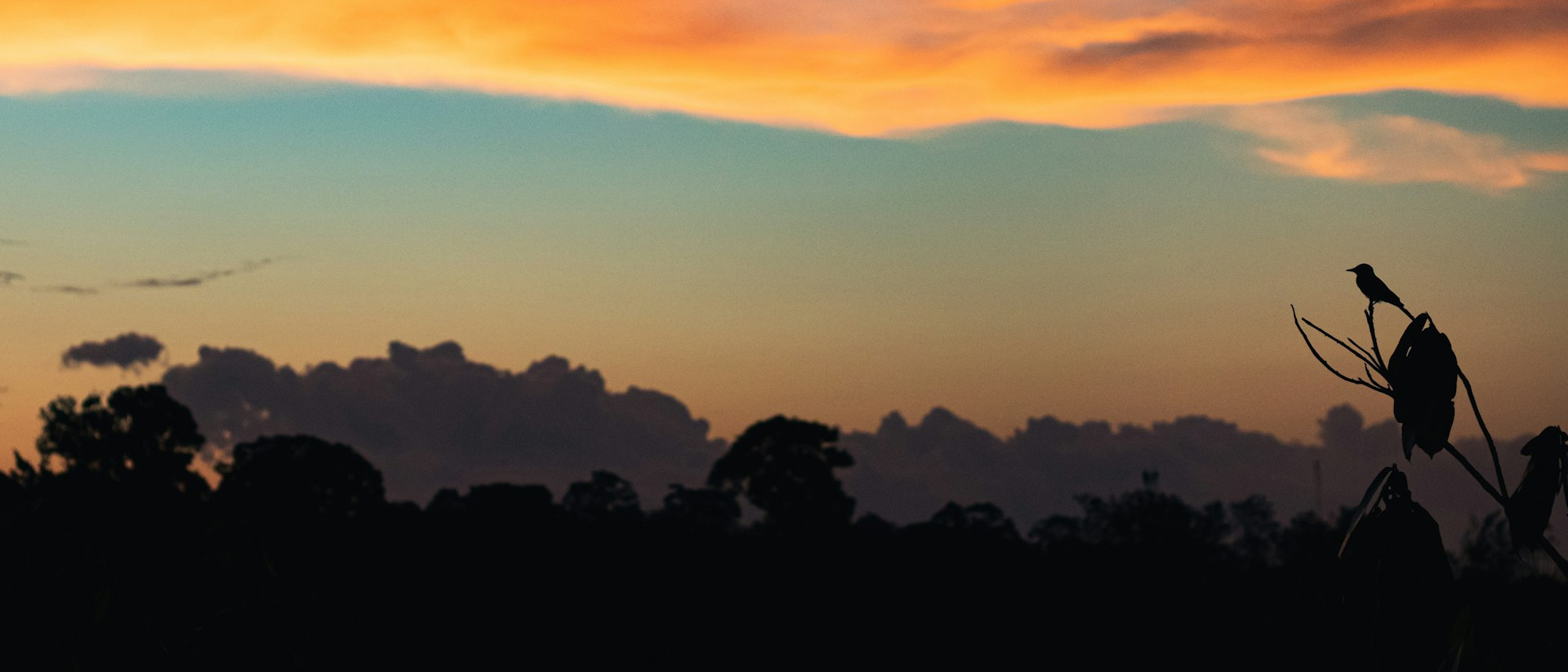 Around Brazil 🦜 in $430s-$590s RT