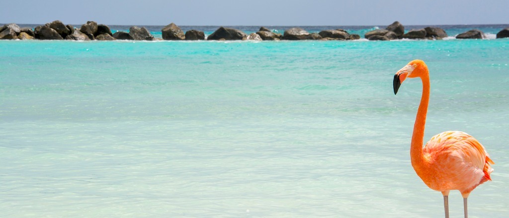 The Caribbean 🏝️ in $270s-$470s RT