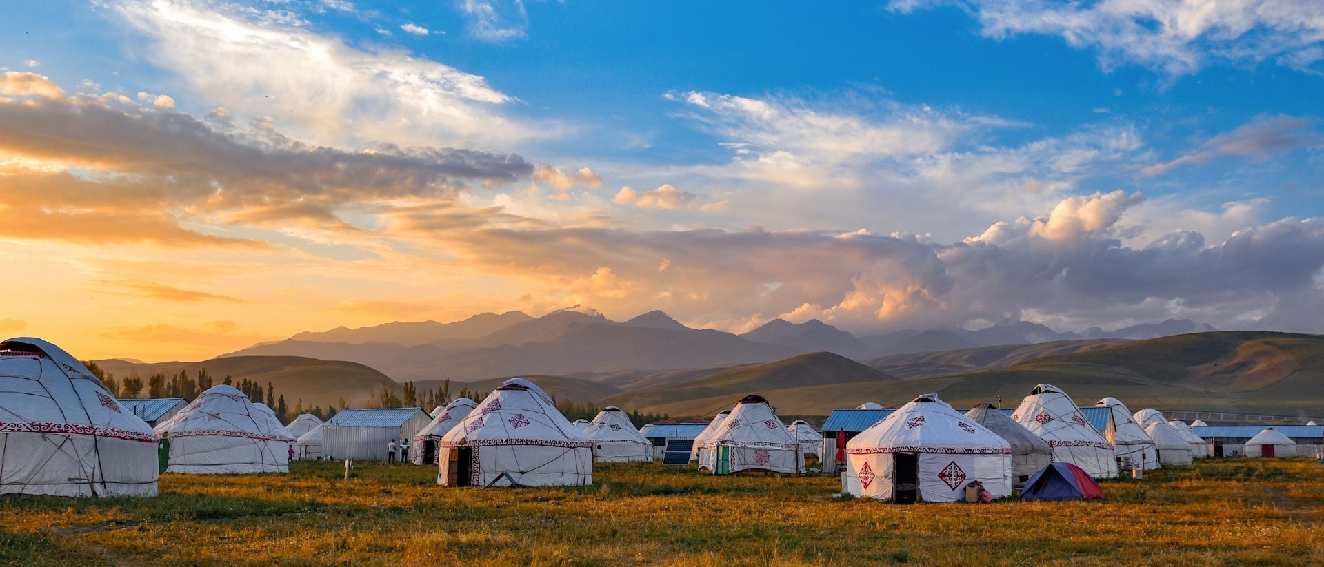 Mongolia 🐴 in $490s-$690s RT 