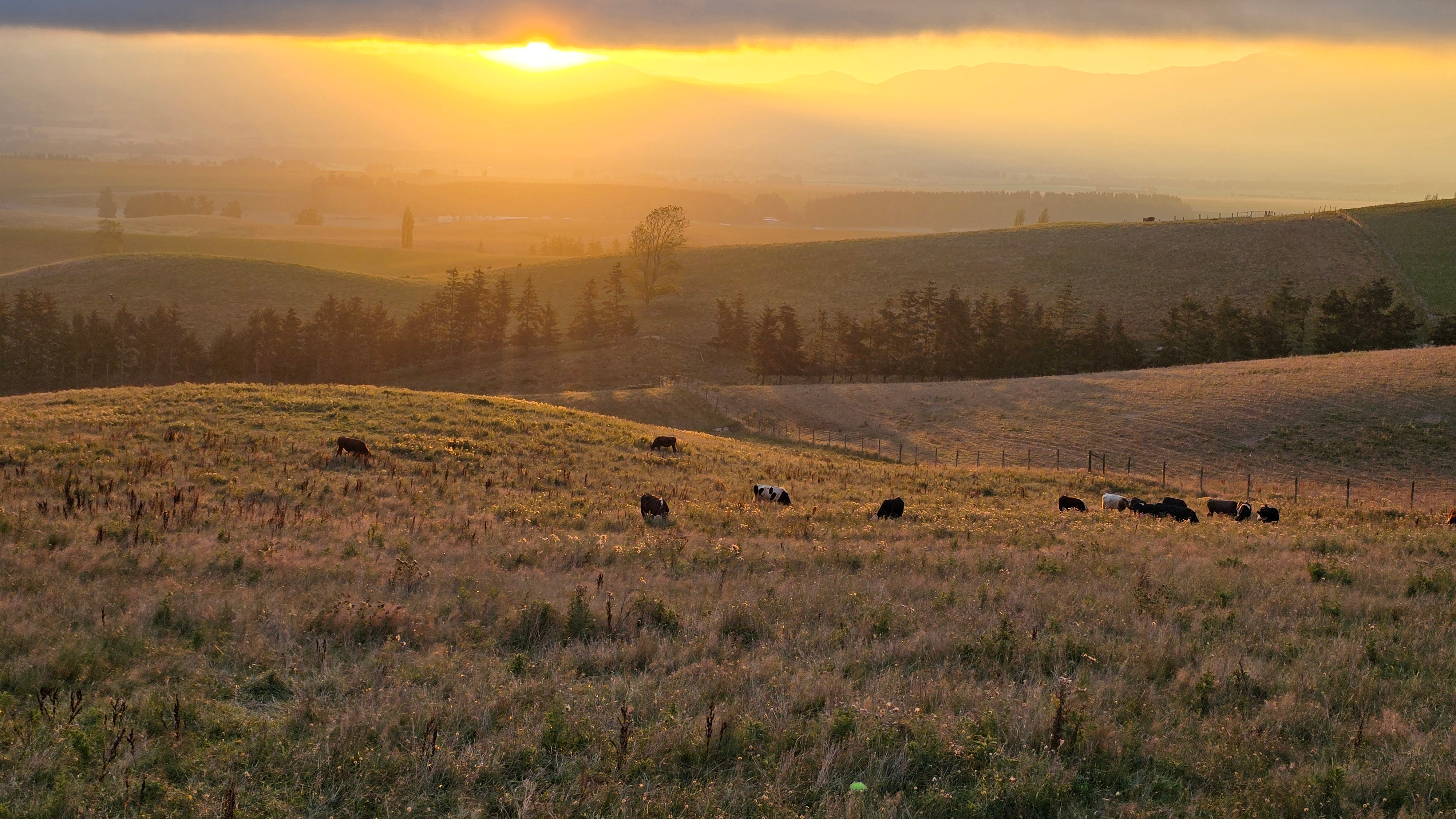 Sunset on the North Island