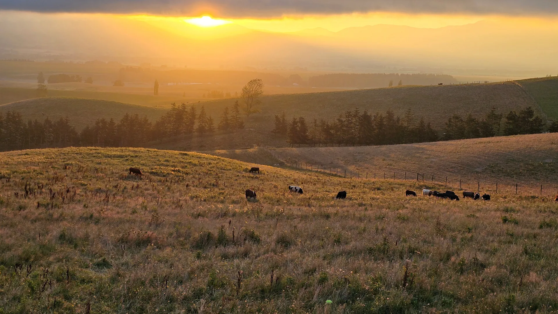 Sunset on the North Island