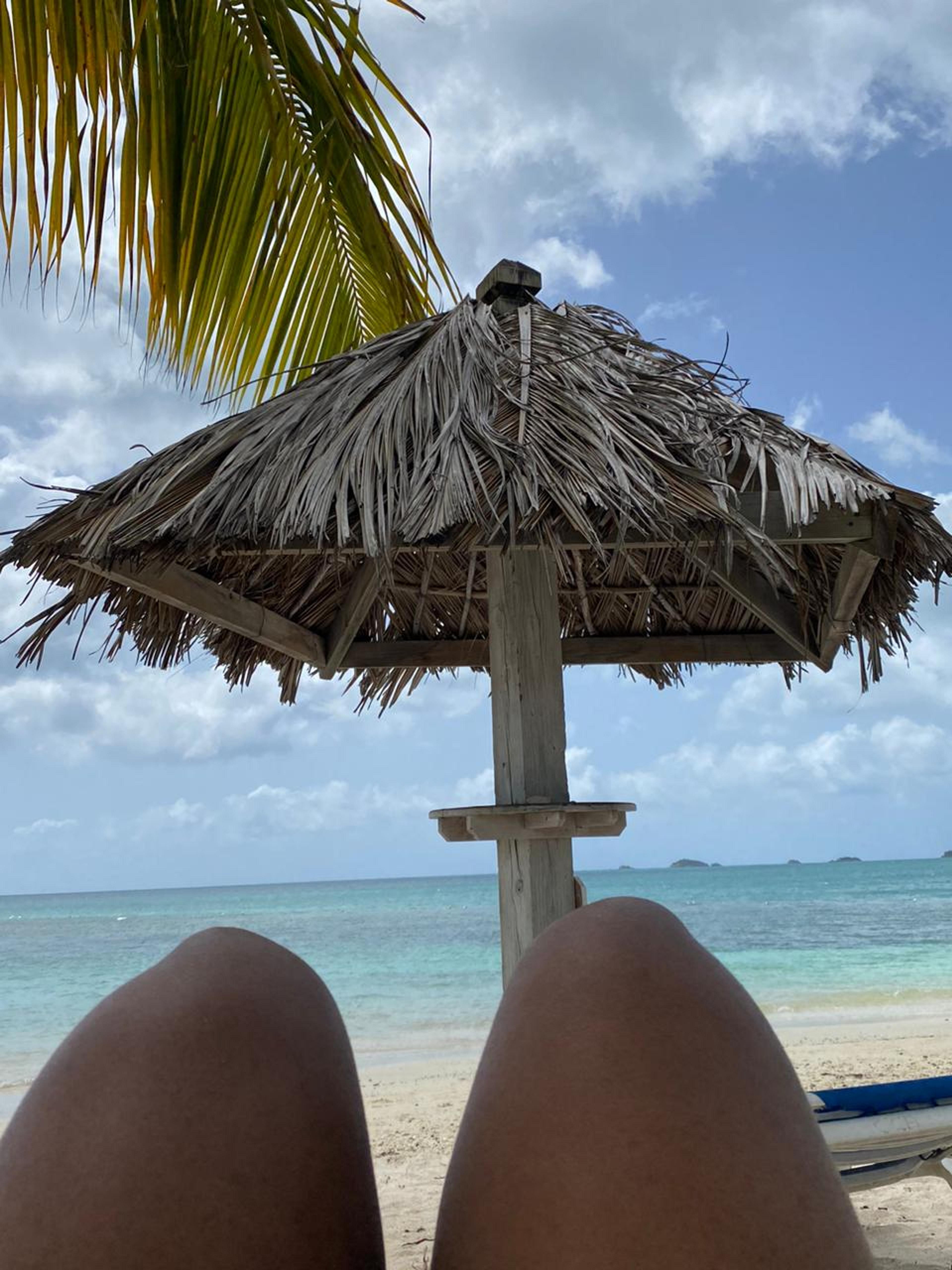 Postcard from Damaris