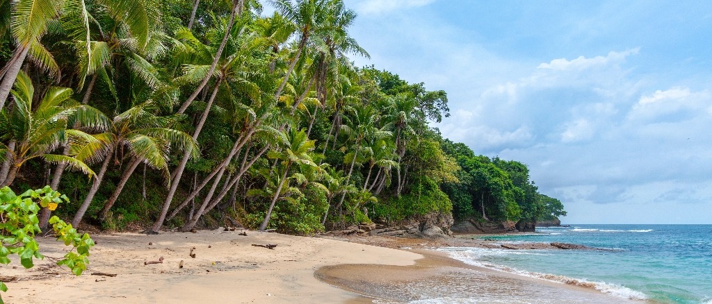 Caribbean, Costa Rica, Canada, and more!   in $350s-$550s RT