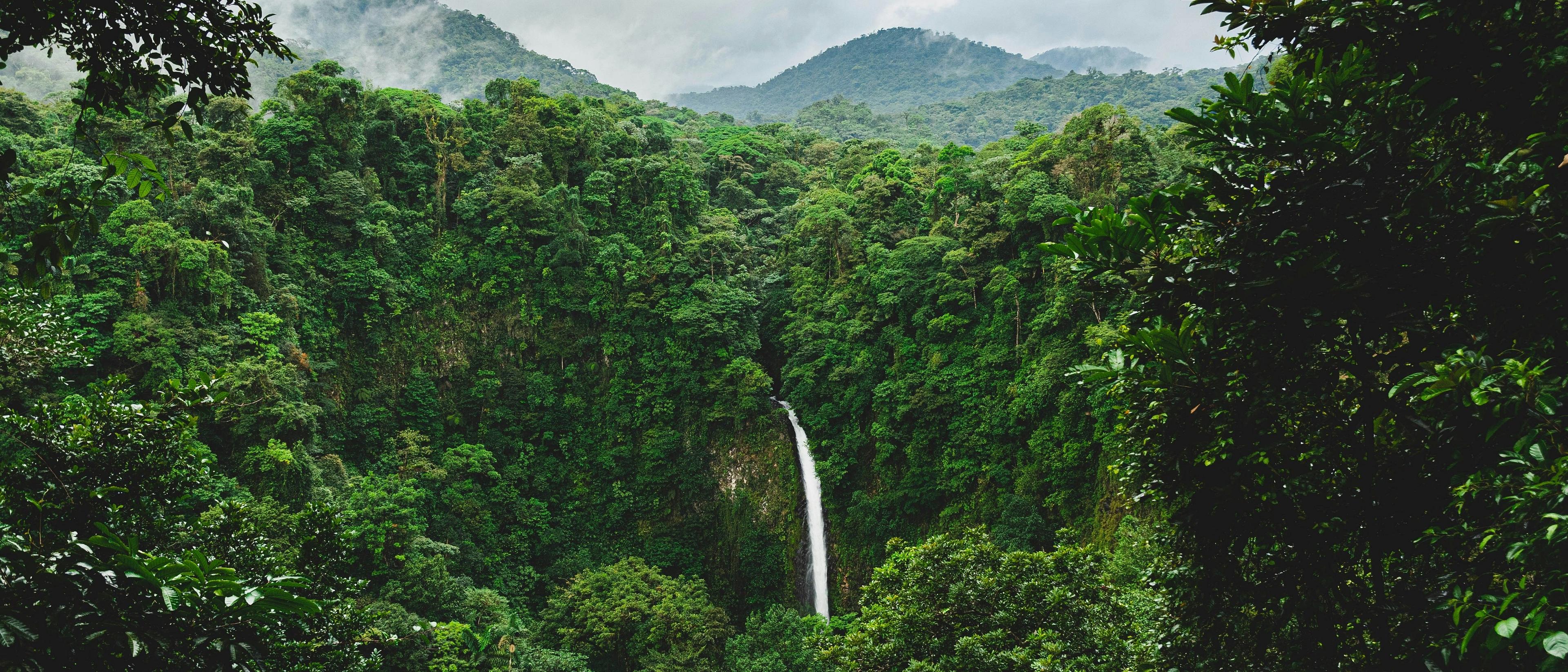 Costa Rica  in $230s-$390s RT