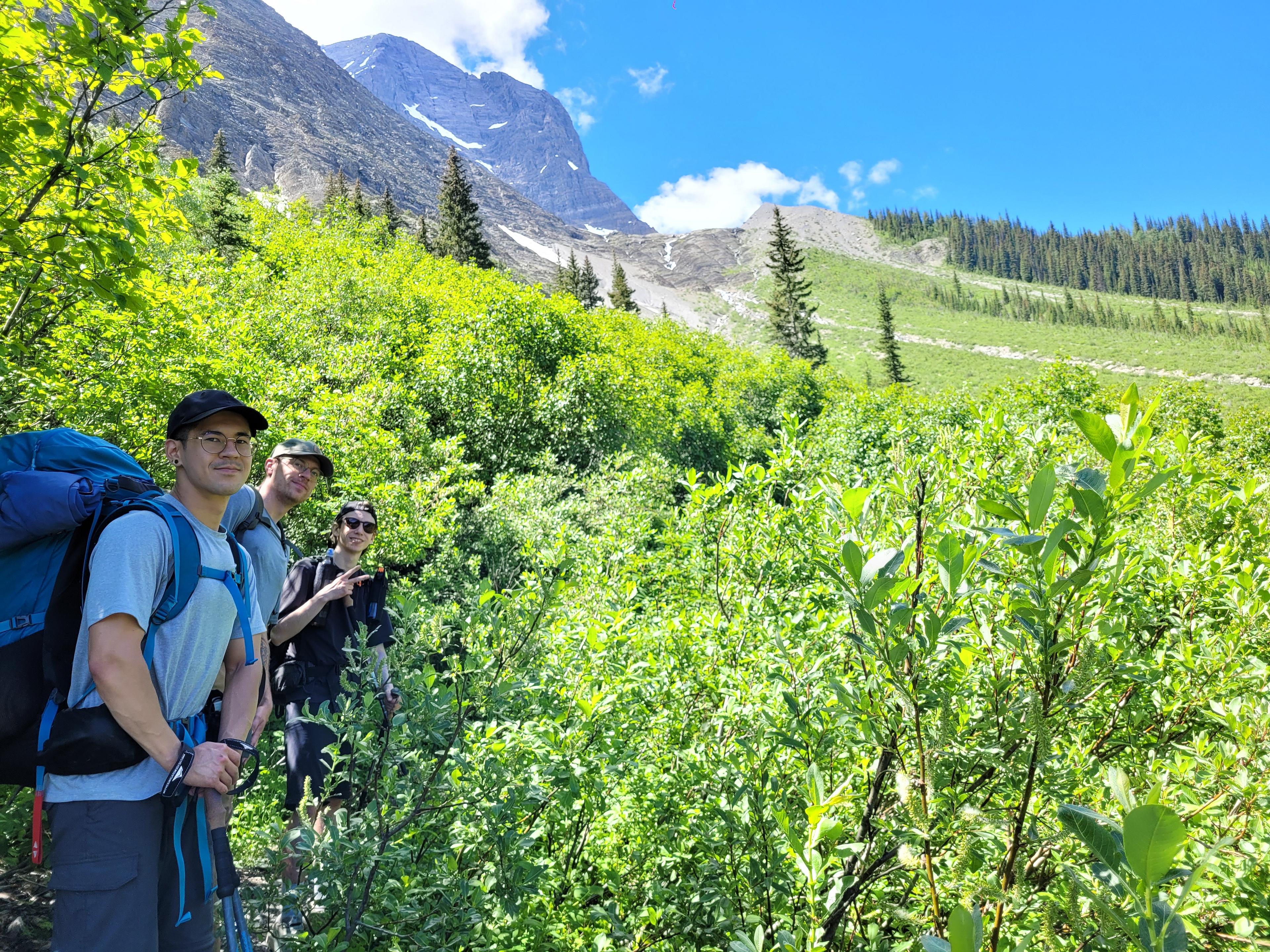 Hikers traverse a lush green trail with the towering peaks of Kootenay National Park, Canada, in the background.