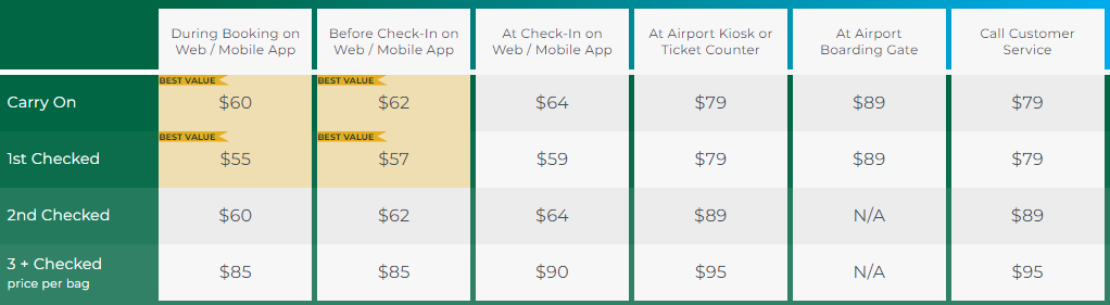 Cost for sales baggage on spirit