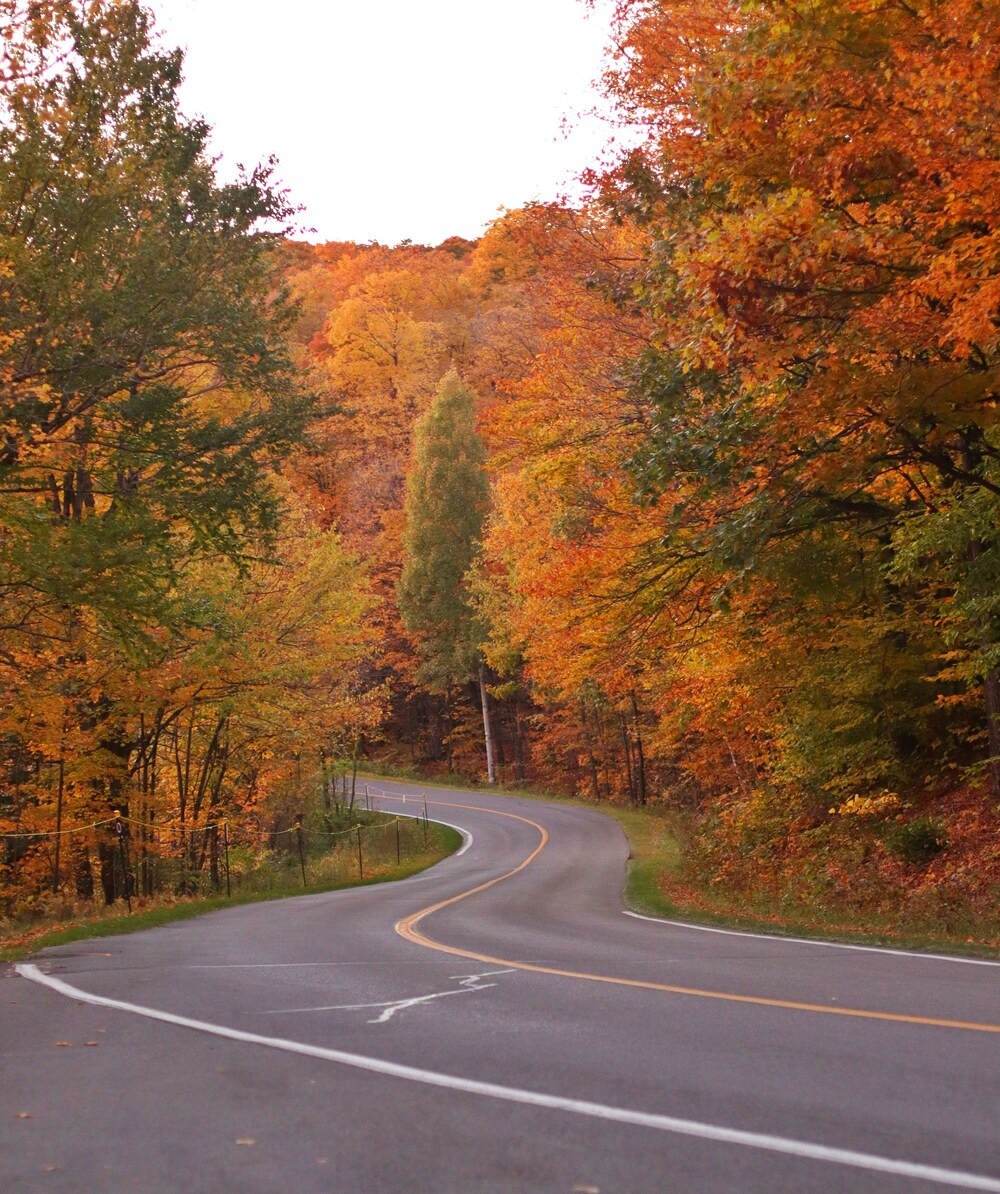 Winding road surrounded by red, yellow and orange foliage.