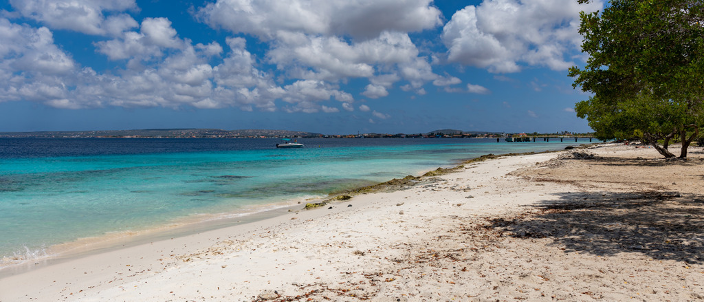Bonaire 🏖️ at $441 RT 