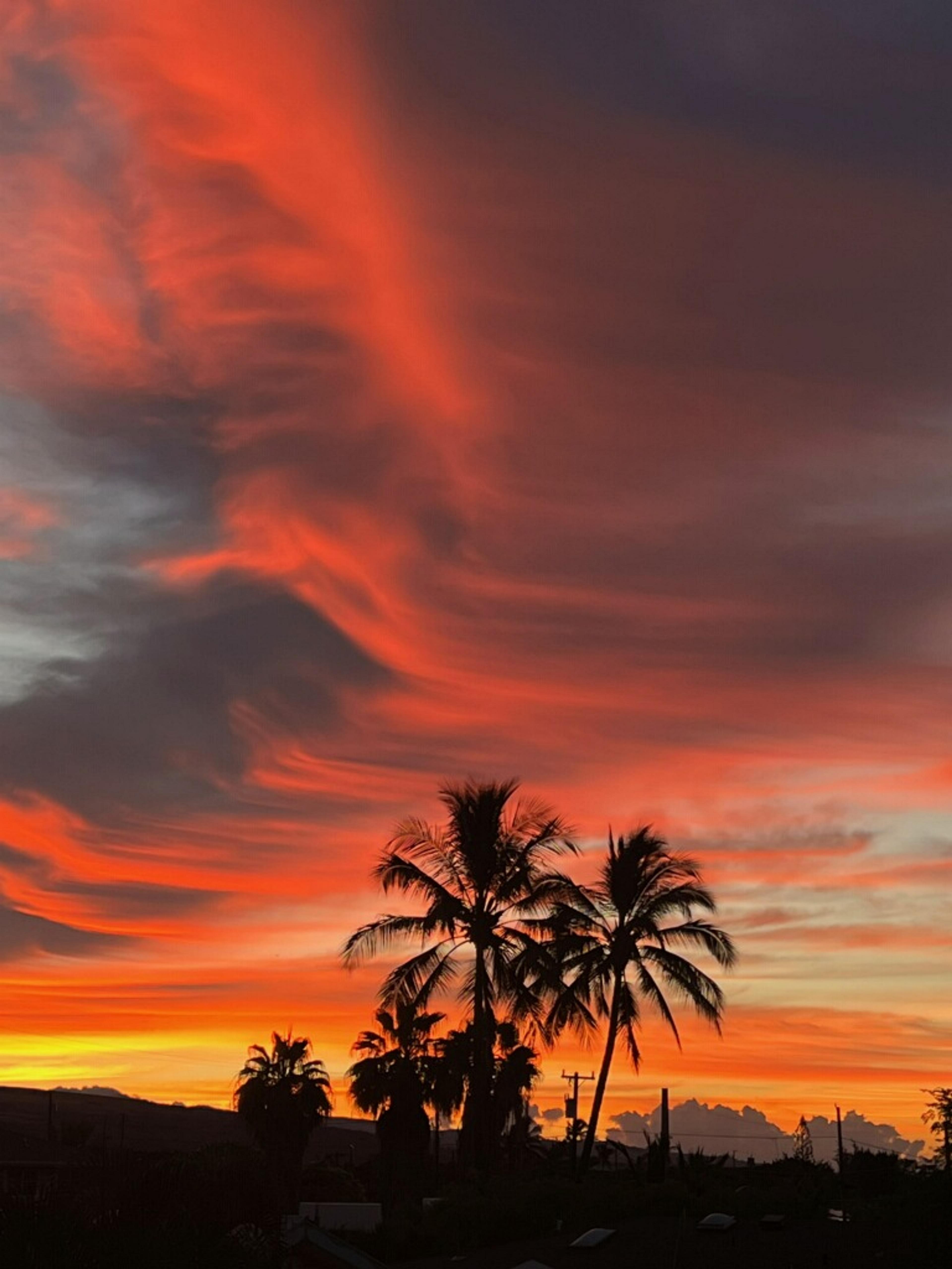 My favorite place to watch the sunset