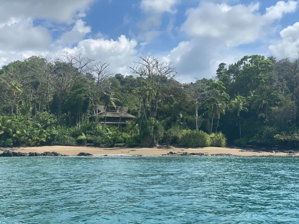 A tranquil beach on the Osa peninsula, Costa Rica, with lush green foliage and a serene shoreline.