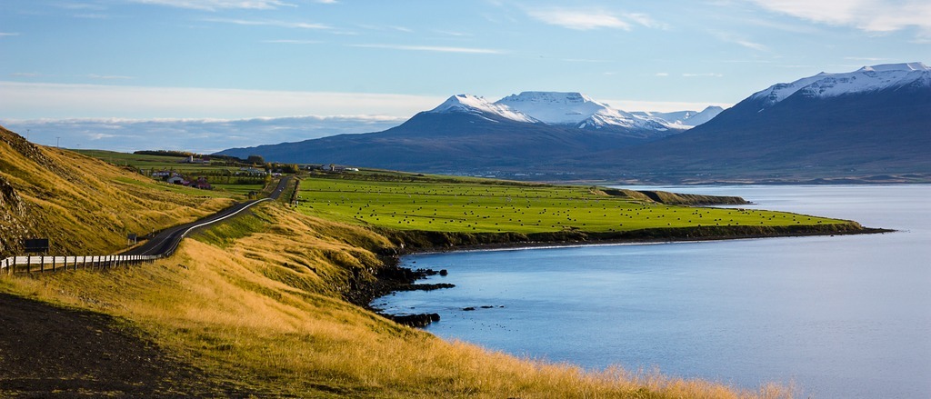 Iceland  in £50s-£80s rtn