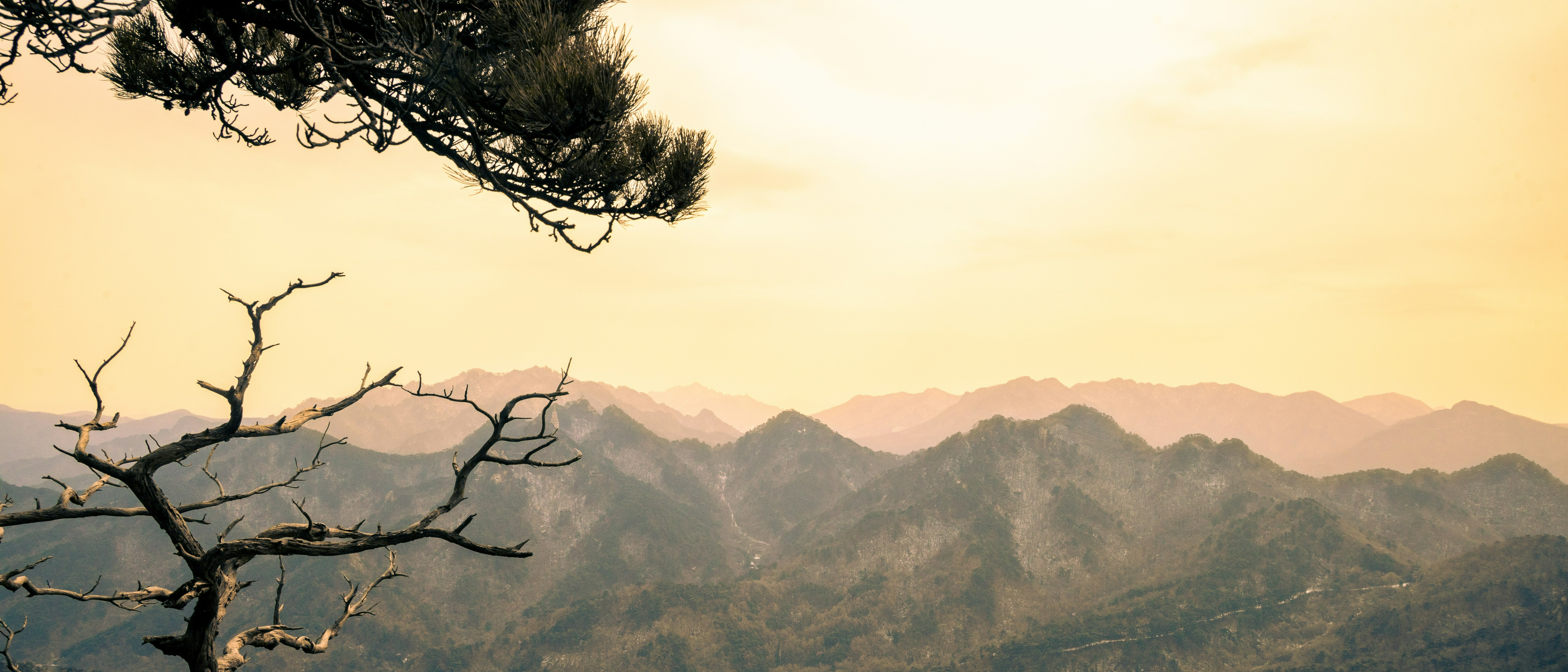 Shenyang, China  at $656 RT