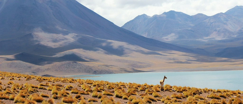Chile 🇨🇱 in €660s-€760s rtn