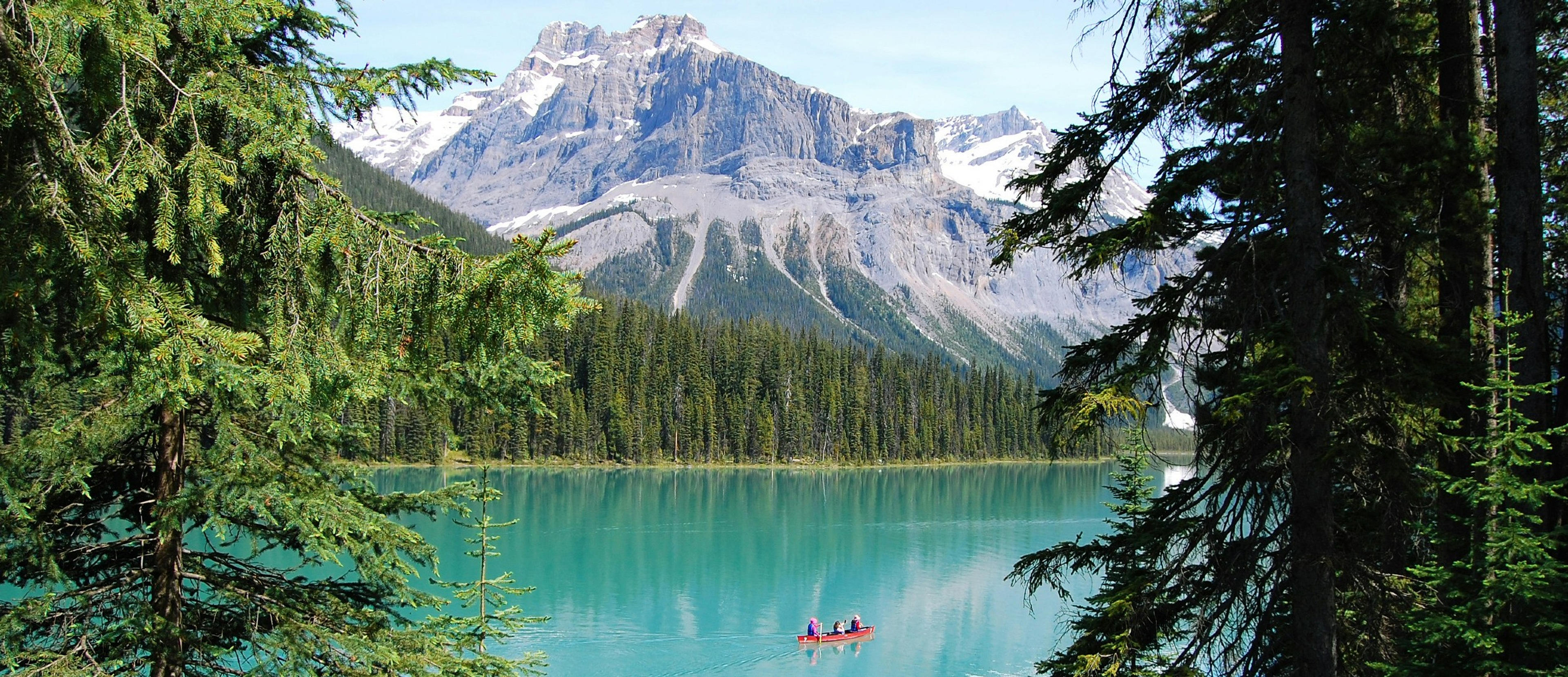 A canoe glides across the turquoise waters of Emerald Lake in Yoho National Park, framed by lush evergreens and rugged mountains.