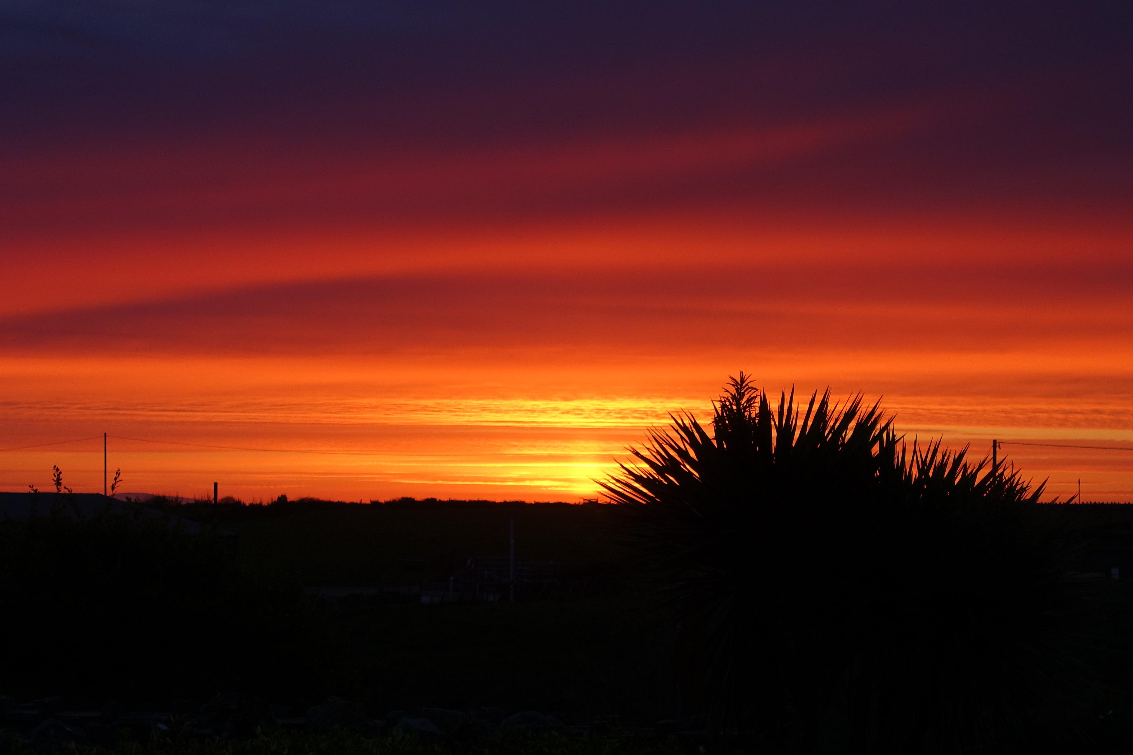 The most incredible 4am reward