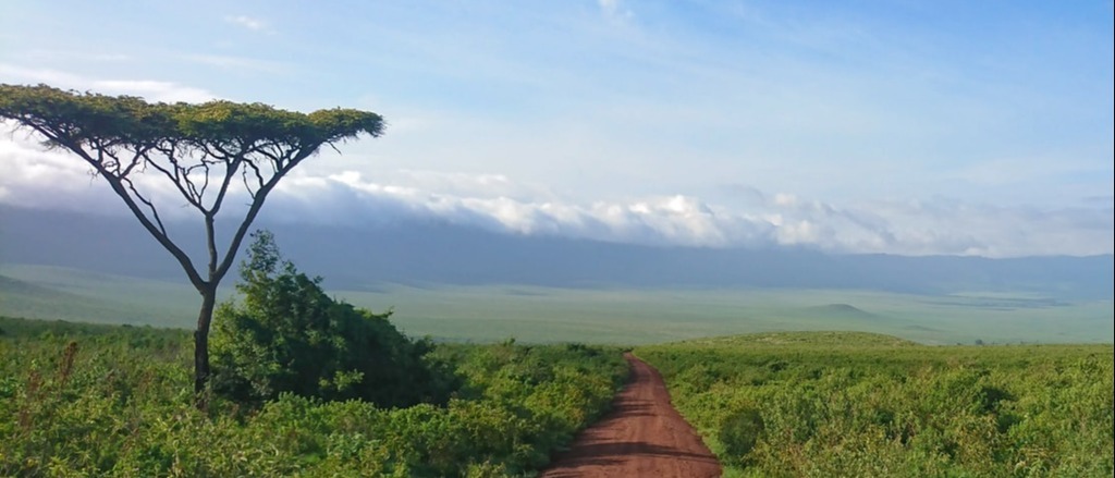 Africa  in $860s-$910s RT