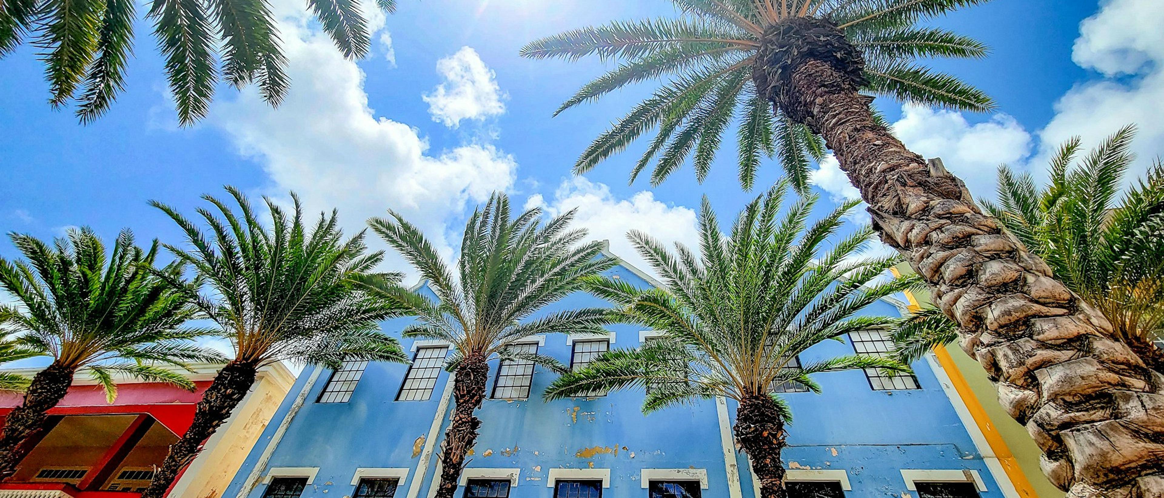 Aruba 🌊 in $430s-$490s RT