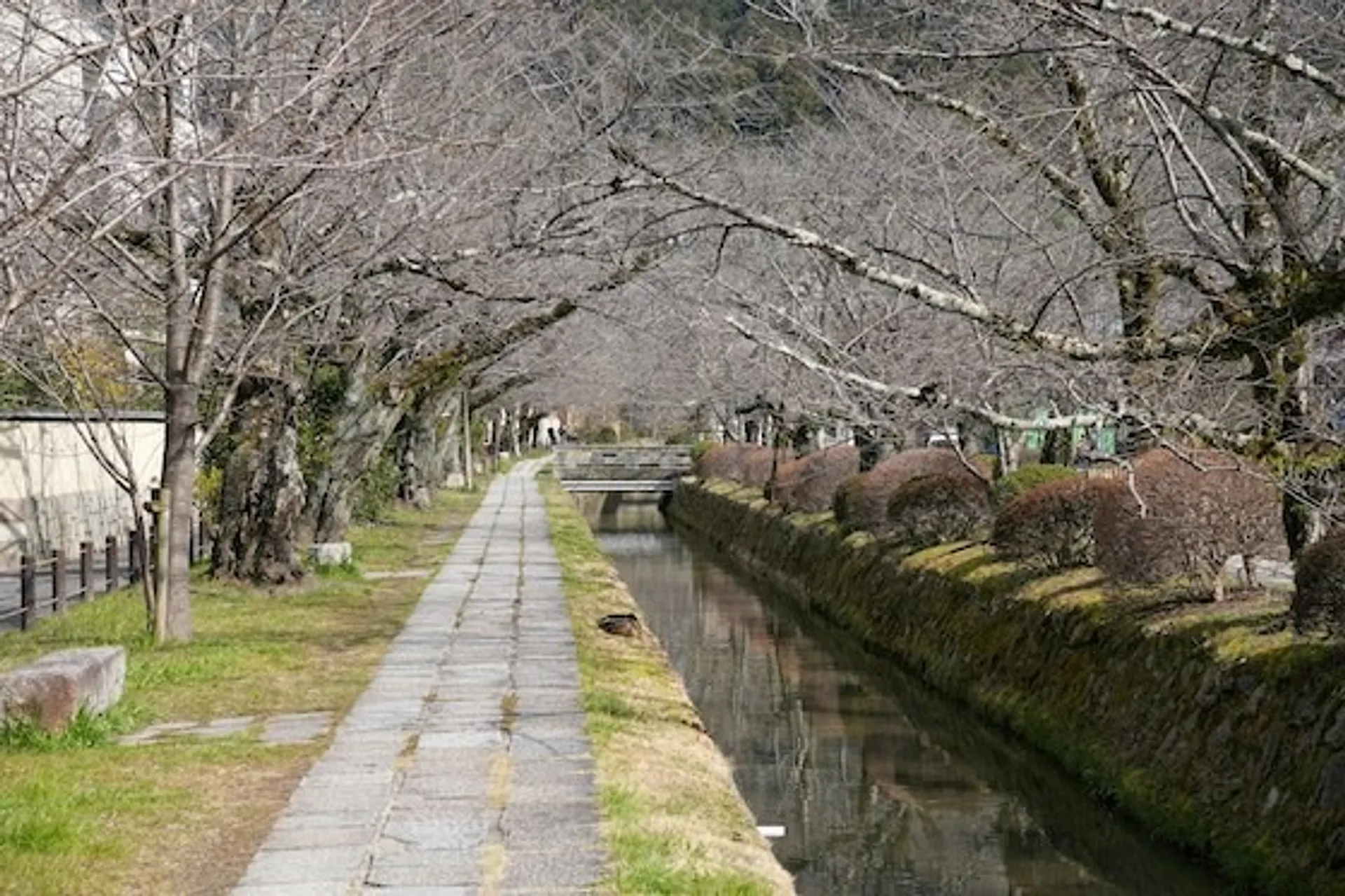 A serene walkway along the Philosopher's Path in Kyoto, Japan, bordered by a tranquil canal and lined with bare cherry blossom trees.