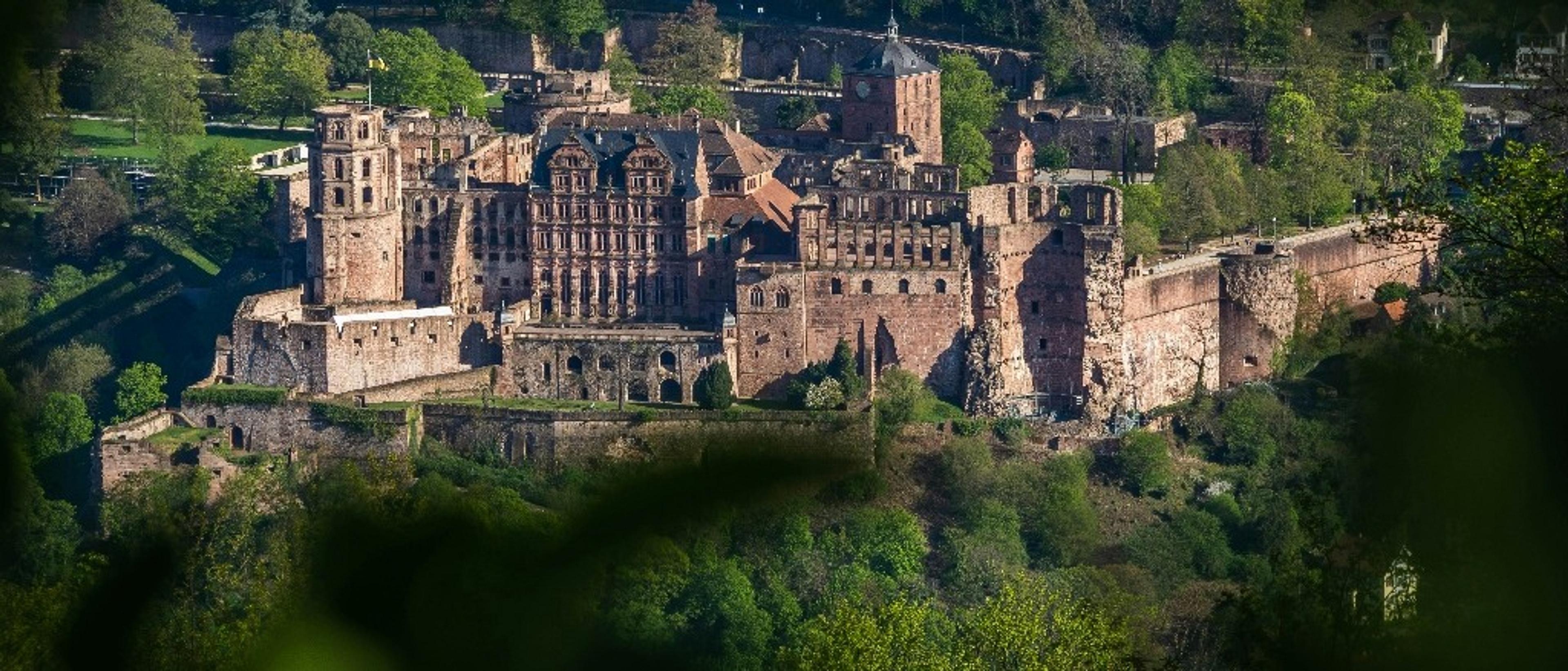 Frankfurt 🍻 in $810s-$880s RT