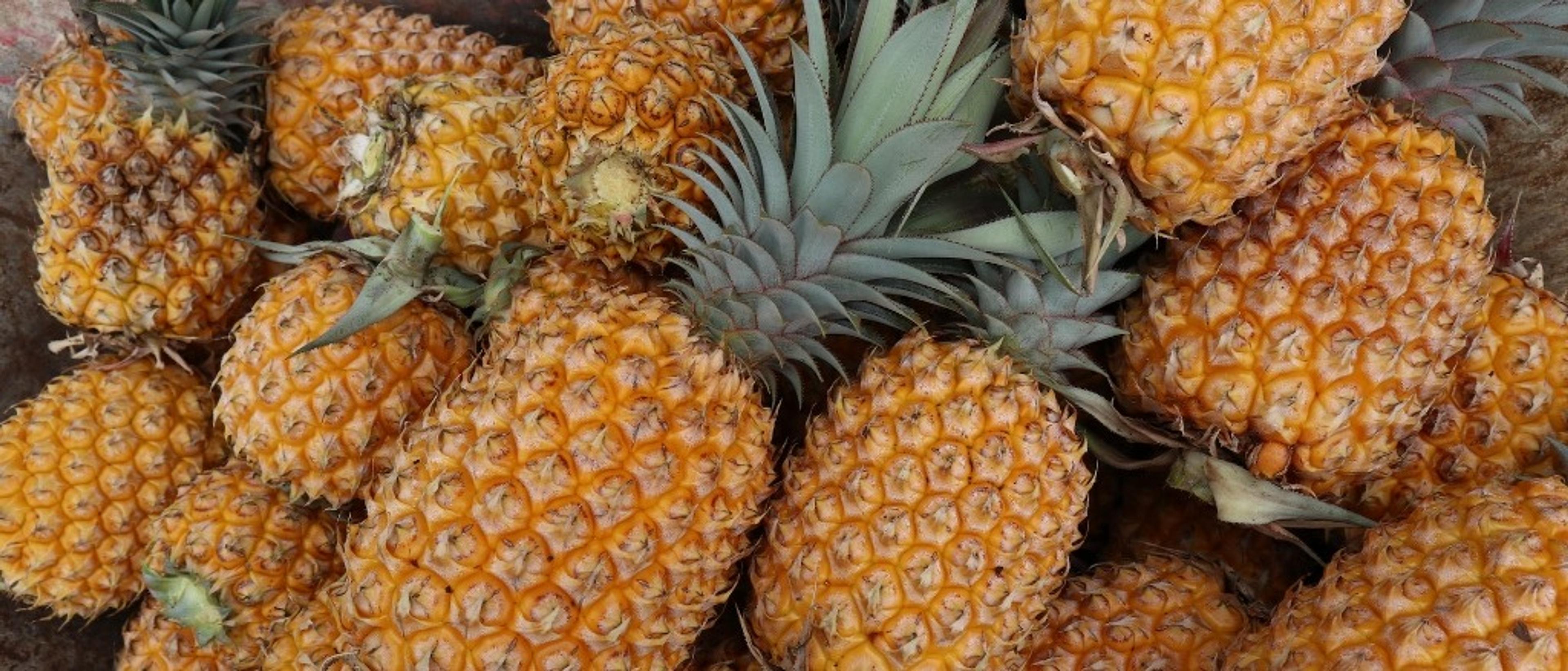 *rare* Tonga  in $830s-$840s RT from L.A. & San Francisco