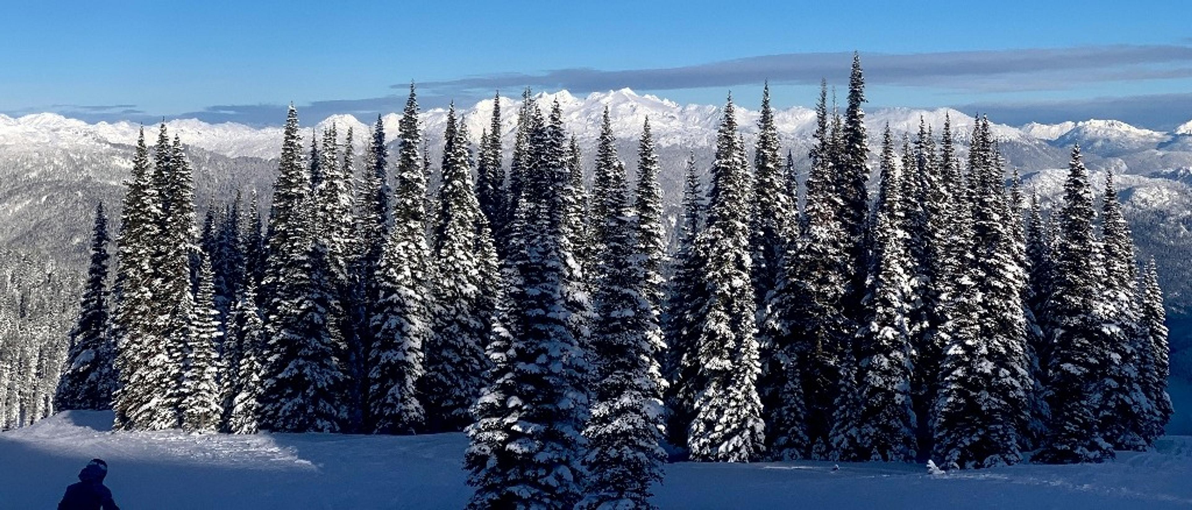 Jack's Flight Club Across the USA & Vancouver 🏙️ in £350s£490s rtn