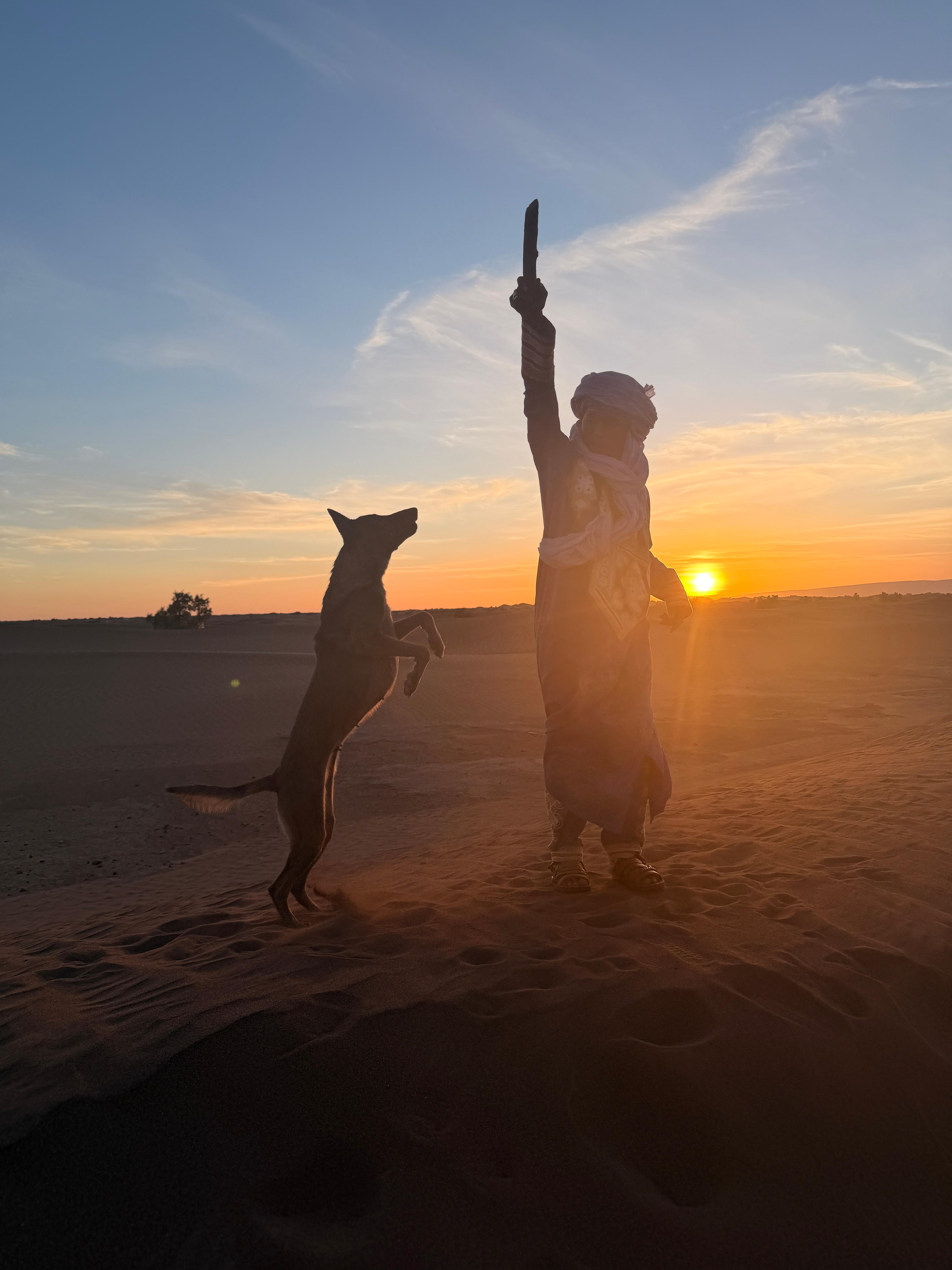 Sand dunes and dog walks