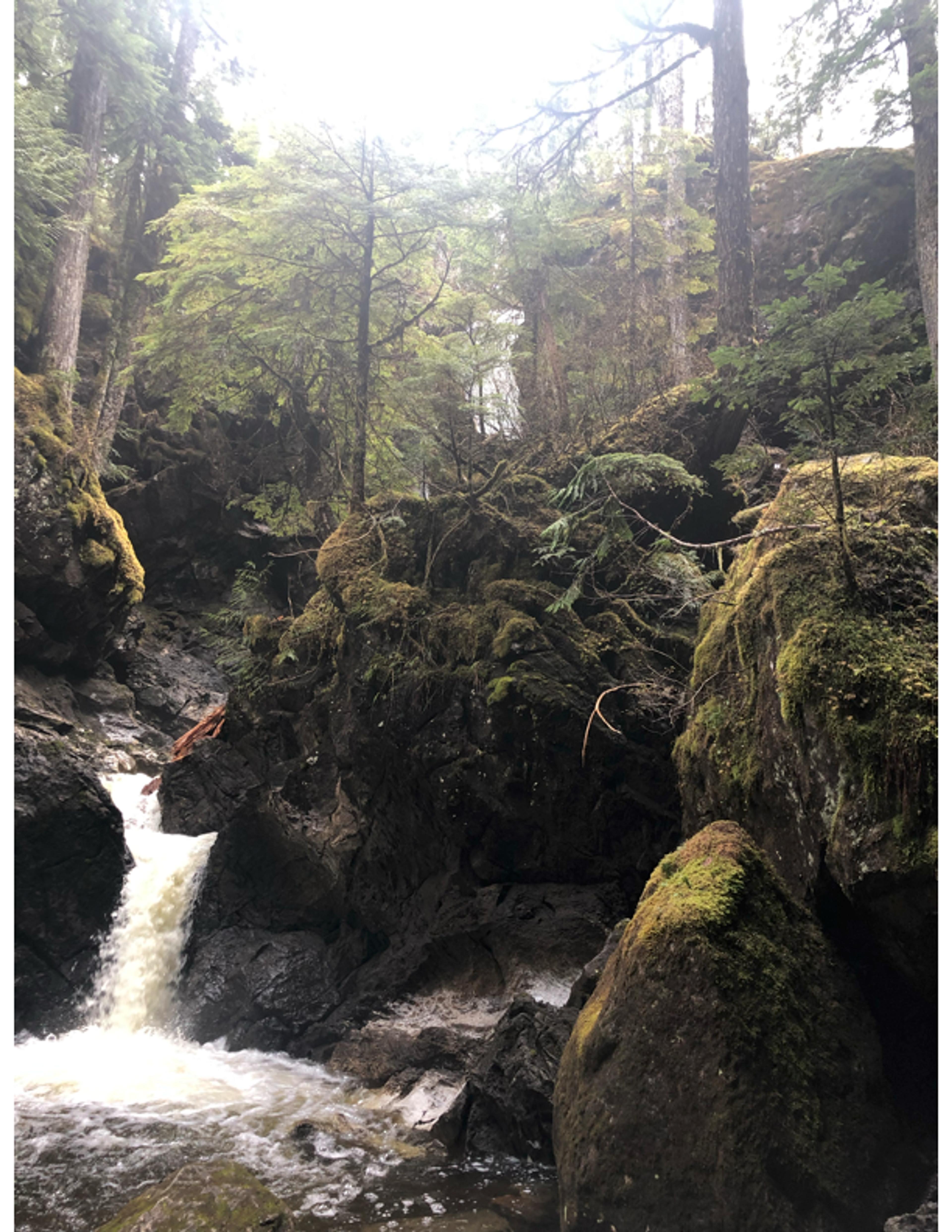 Story from HeroicSeeker70936