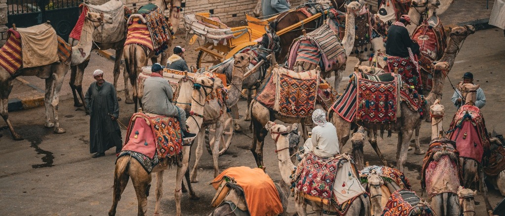 Cairo 🐪 in €240s-€260s rtn