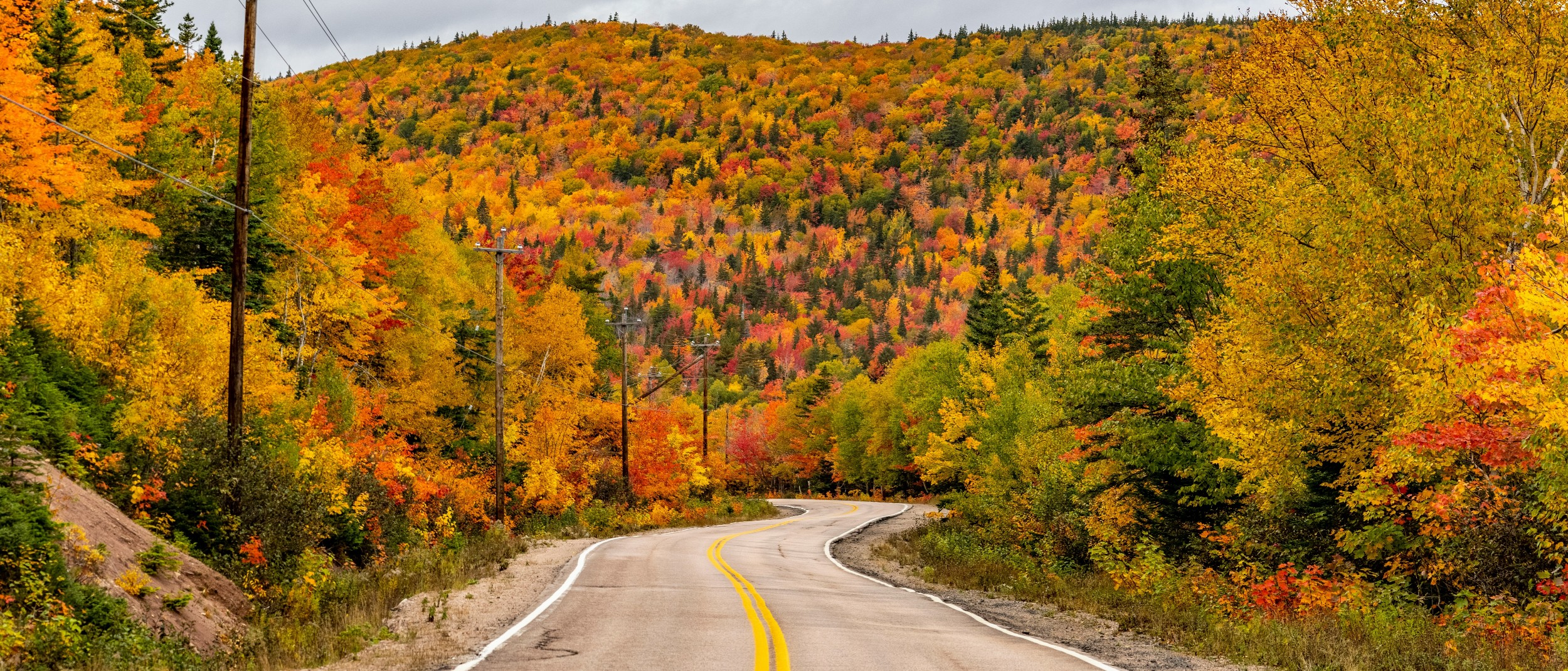Nova Scotia  in €390s-€440s rtn