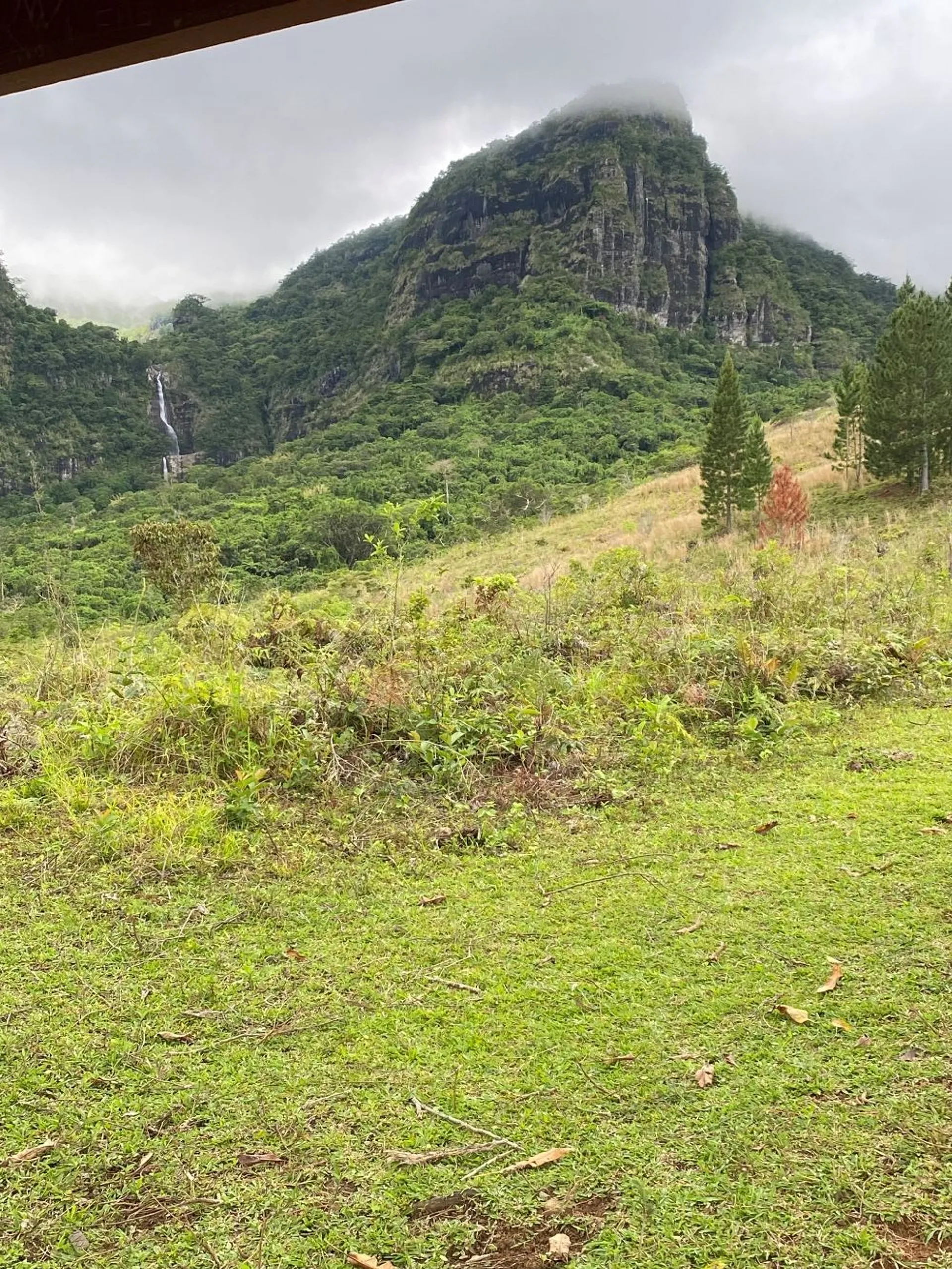 Lush greenery and a cascading waterfall adorn the Amedia Mountains in Ecuador under a misty sky.