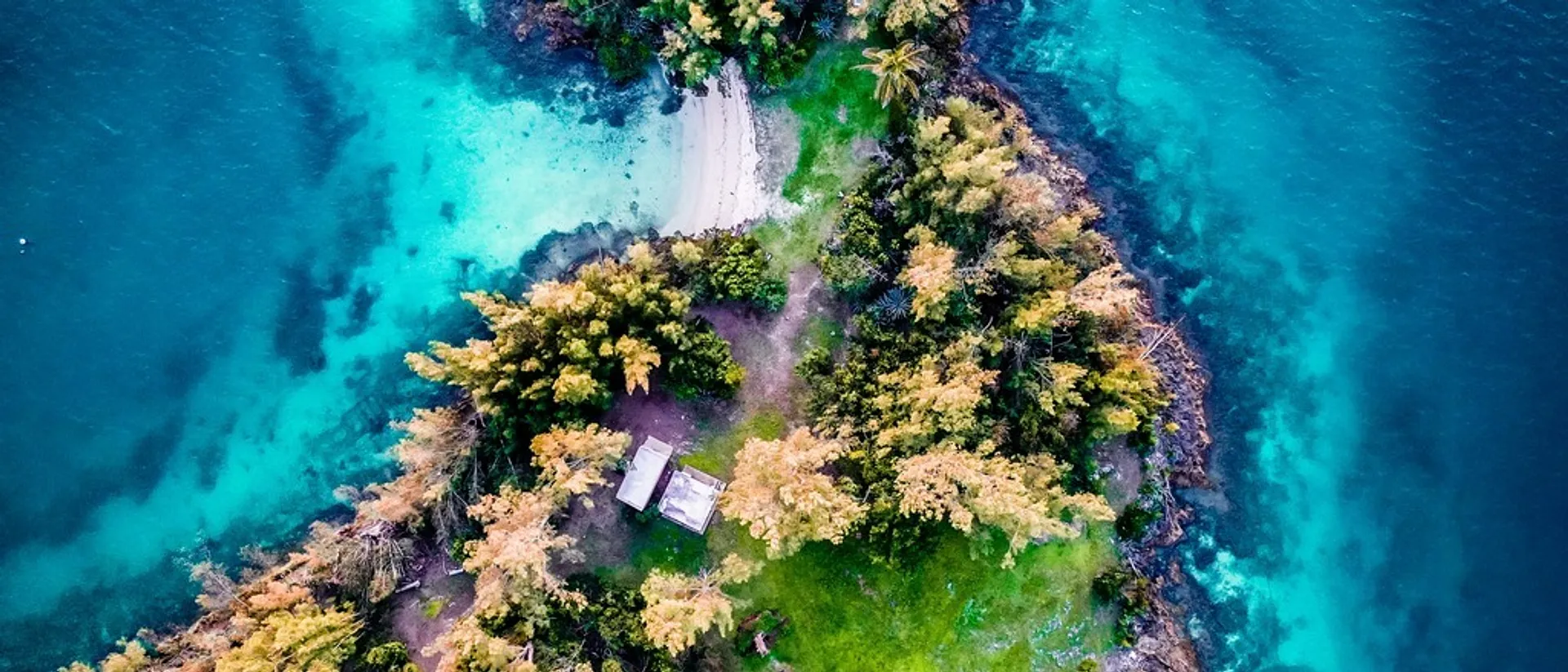 Bermuda  in $490s RT