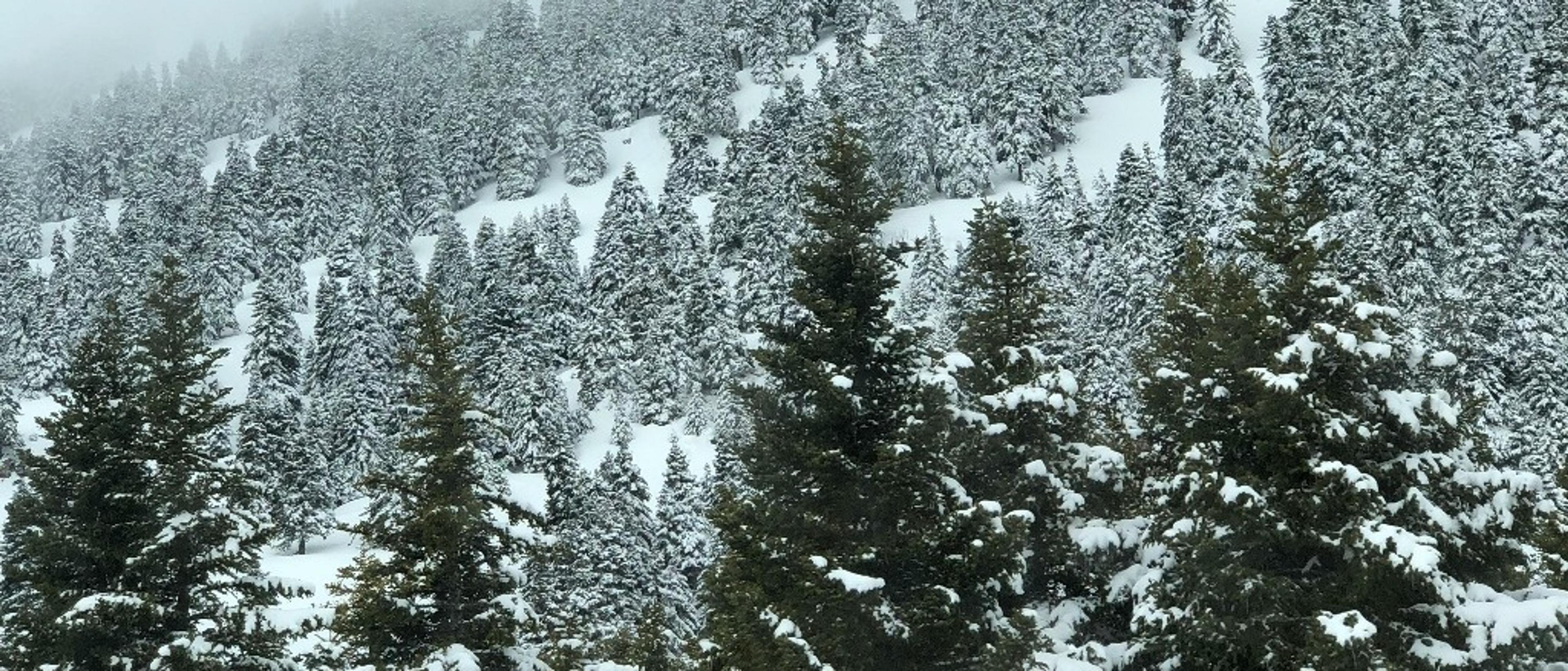 Athens & Thessaloniki ⛷️ in €70s-€150s rtn 