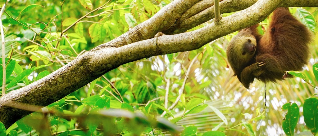 San José, Costa Rica 🦥 in €540s-€580s rtn