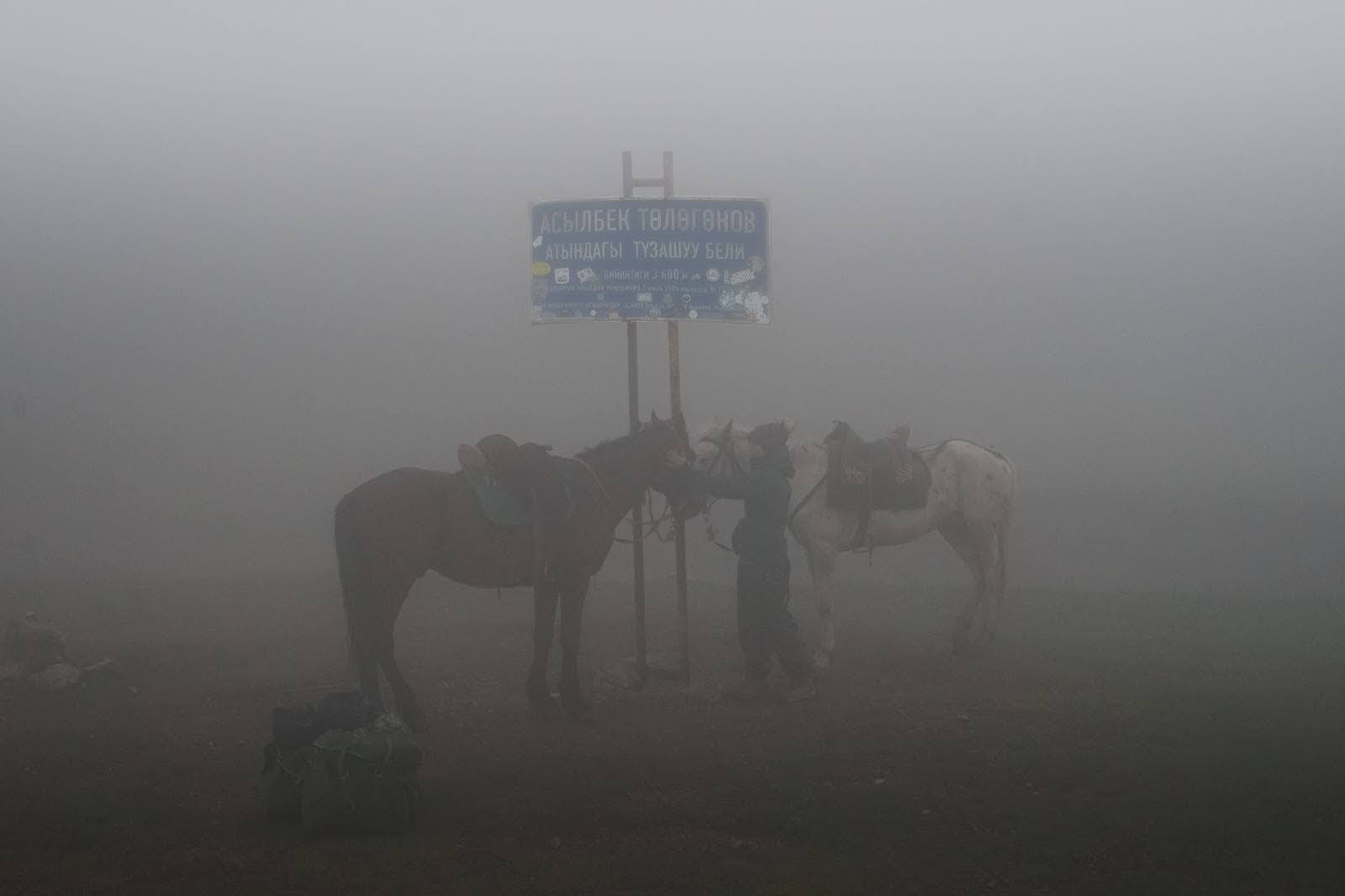 A misty scene in Kyrgyzstan features two horses and a person near a sign with Cyrillic script.