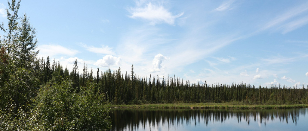 Fairbanks ⛰️ in $280s-$360s RT