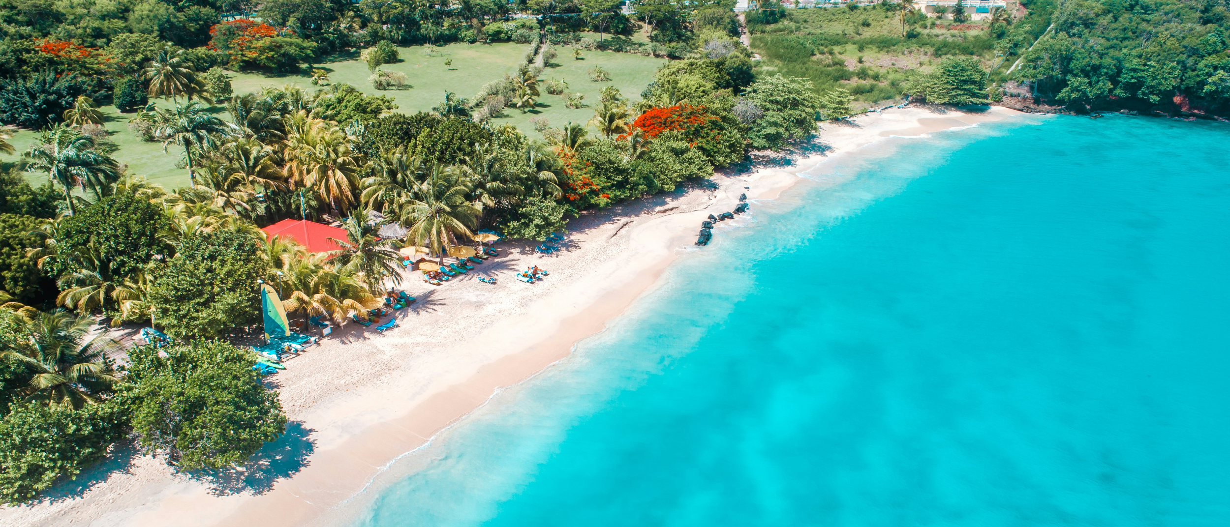 Caribbean  in $230s-$490s RT