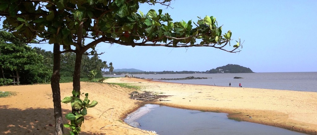 *biz class* French Guiana  in £1270s-£1310s rtn from across the UK  