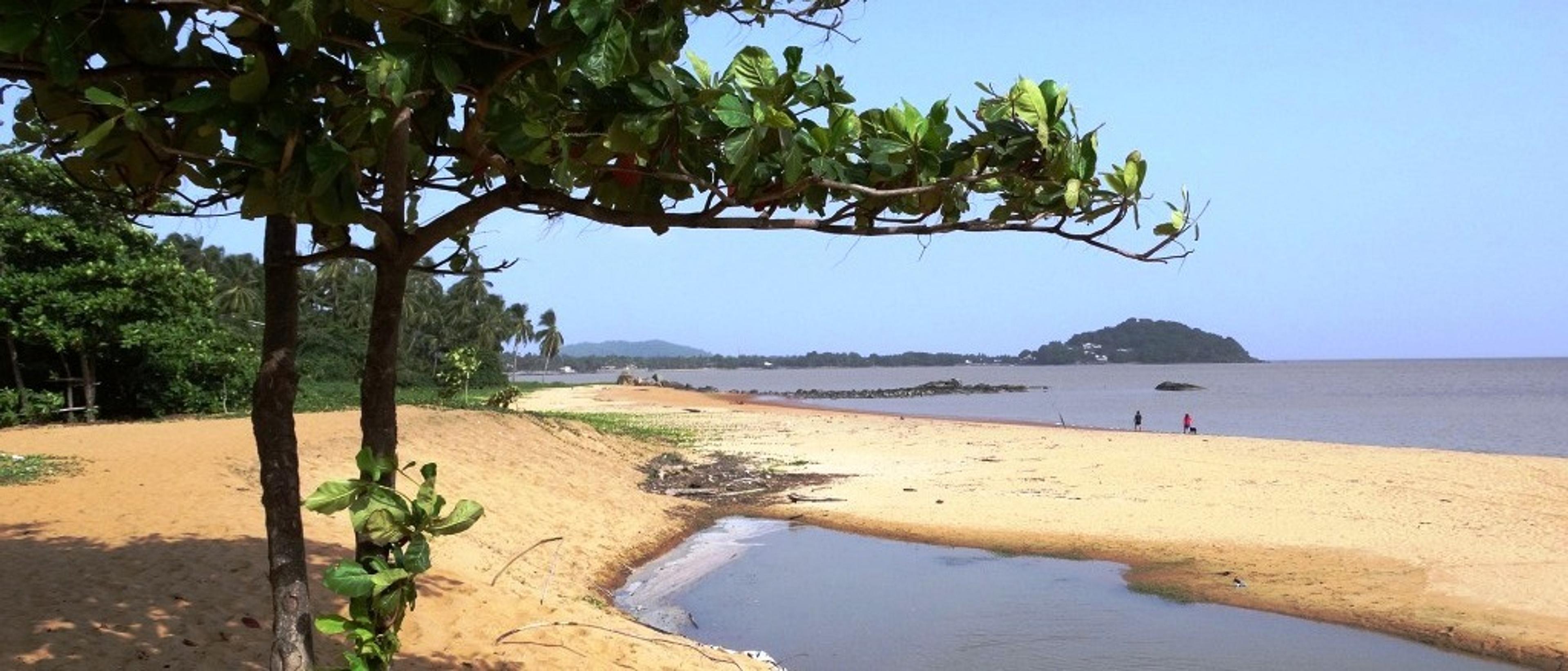 *biz class* French Guiana  in £1270s-£1310s rtn from across the UK  