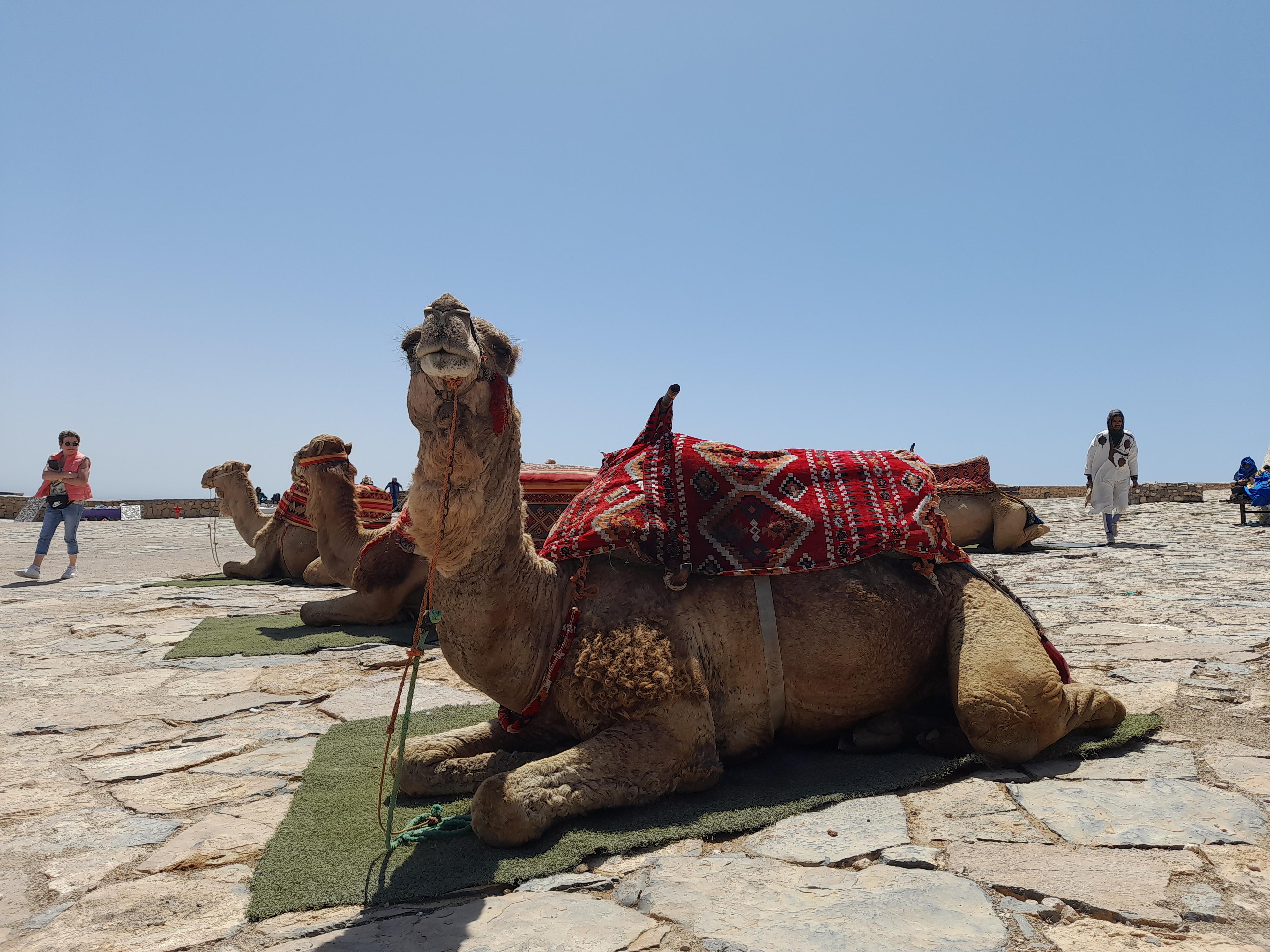 Postcard from Adrian